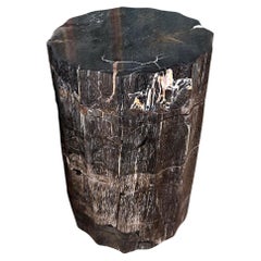 Beistelltisch aus versteinertem Holz mit geschnitzten Details & atemberaubenden Texturen, Modern Organic