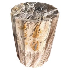 Beistelltisch aus versteinertem Holz mit geschnitzten Details & atemberaubenden Texturen, Modern Organic