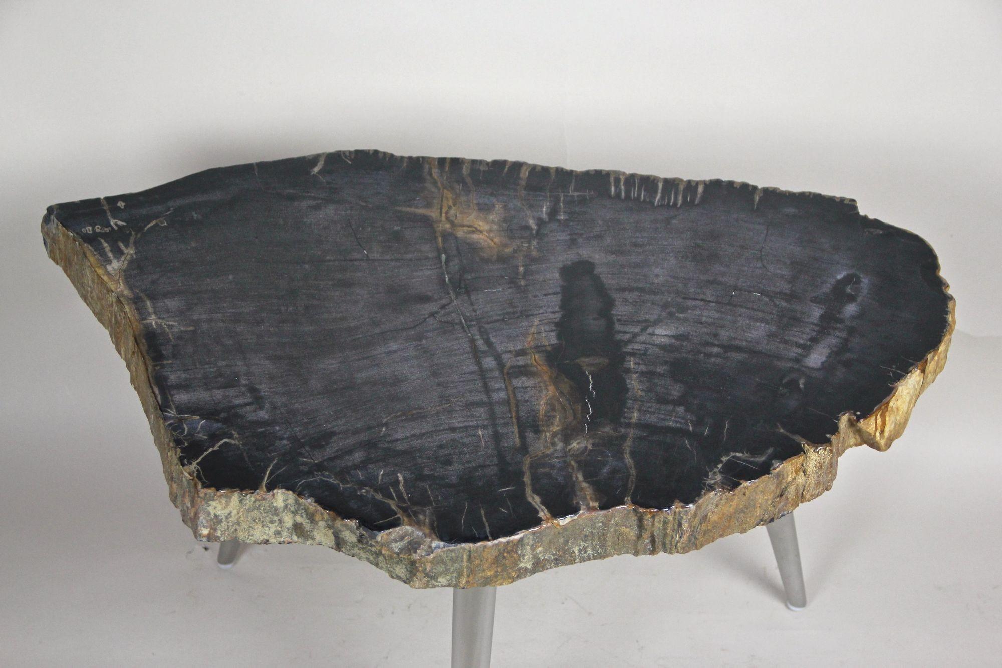 Beistelltisch aus versteinertem Holz mit Edelstahlfüßen, organisch-modern, IDN 2021 im Angebot 2