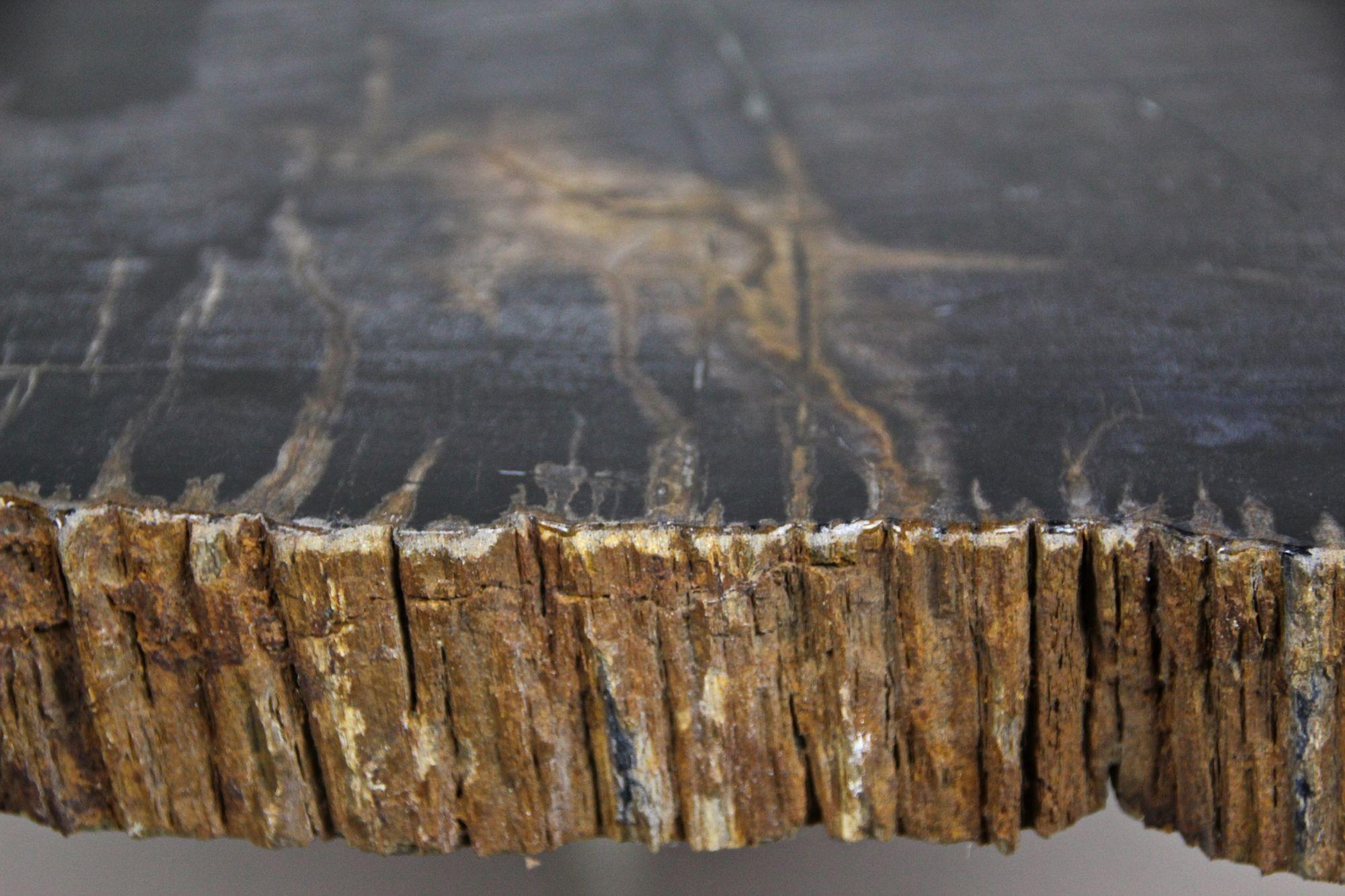 Beistelltisch aus versteinertem Holz mit Edelstahlfüßen, organisch-modern, IDN 2021 (Poliert) im Angebot