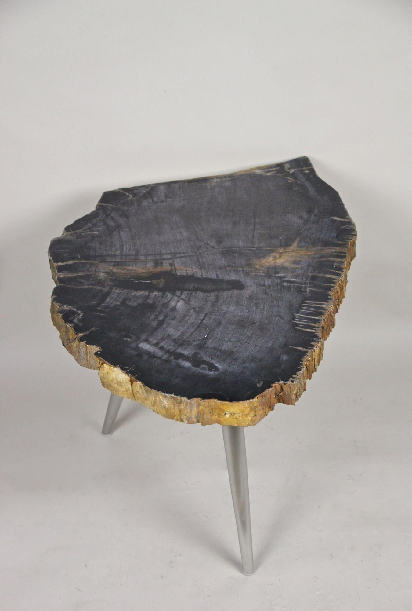 Beistelltisch aus versteinertem Holz mit Edelstahlfüßen, organisch-modern, IDN 2021 (21. Jahrhundert und zeitgenössisch) im Angebot