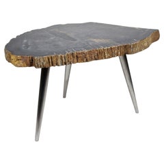 Tavolino in legno pietrificato con piedini in acciaio inossidabile, Organic Modern, IDN 2021
