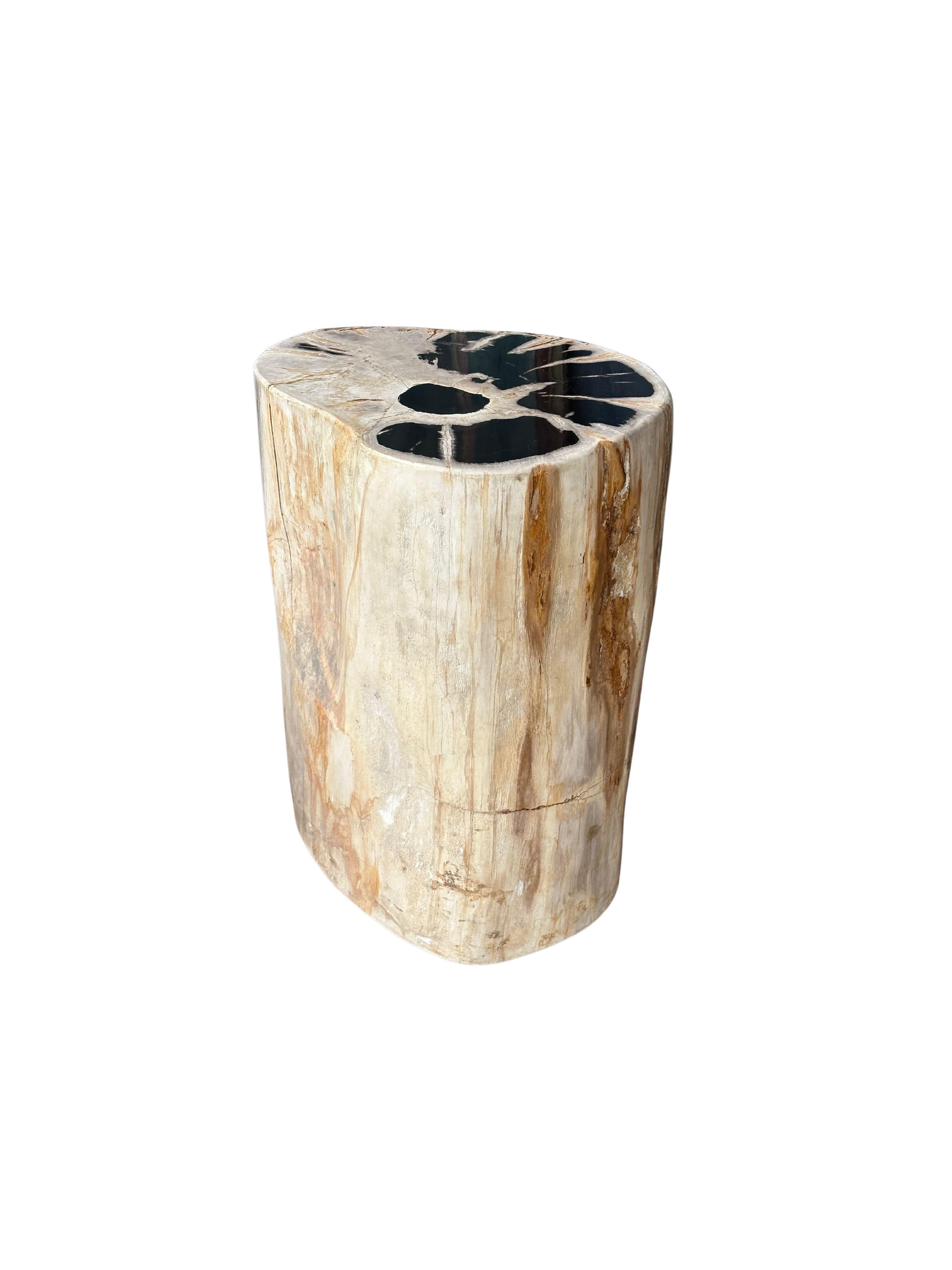 Petrified Wood Side Table With Stunning Textures, Modern Organic For Sale 2