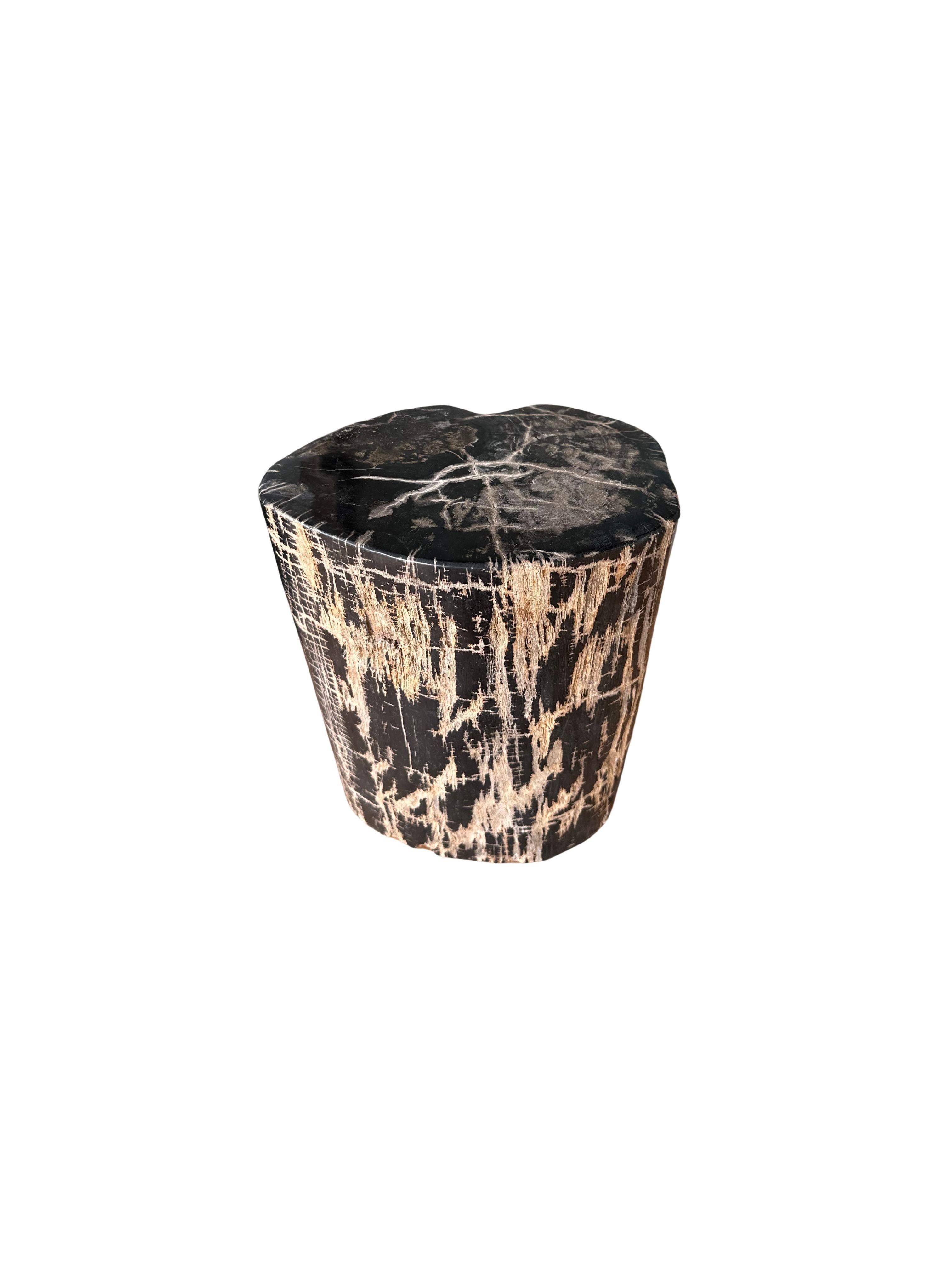 Table d'appoint en Wood Wood pétrifié avec des textures étonnantes, The Modern Organic en vente 2