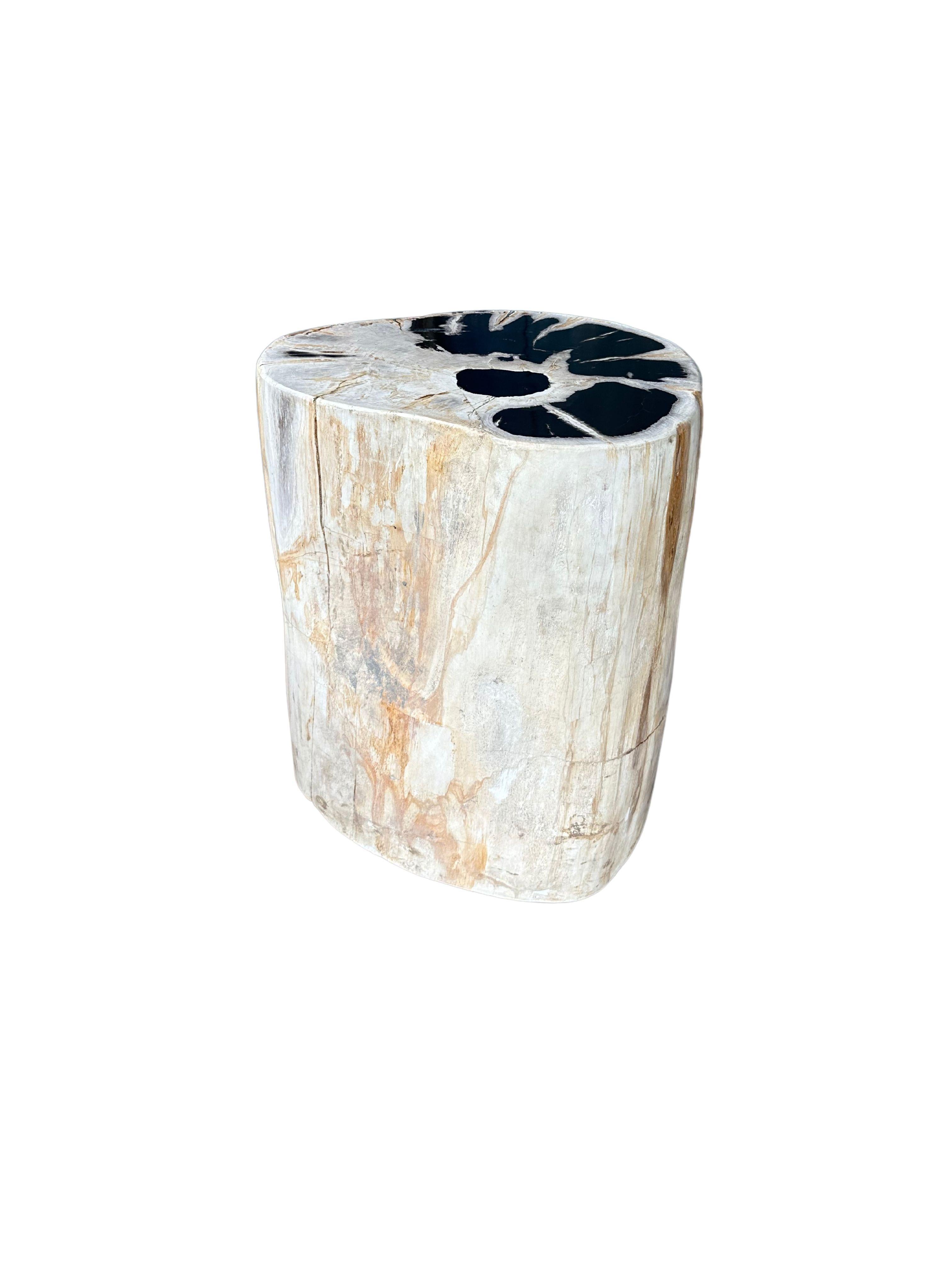 A wonderful example of a petrified wood side table featuring stunning textures throughout. This item was sourced on the island of java, Indonesia after being buried for many hundreds of millions of years. It was then meticulously polished into a