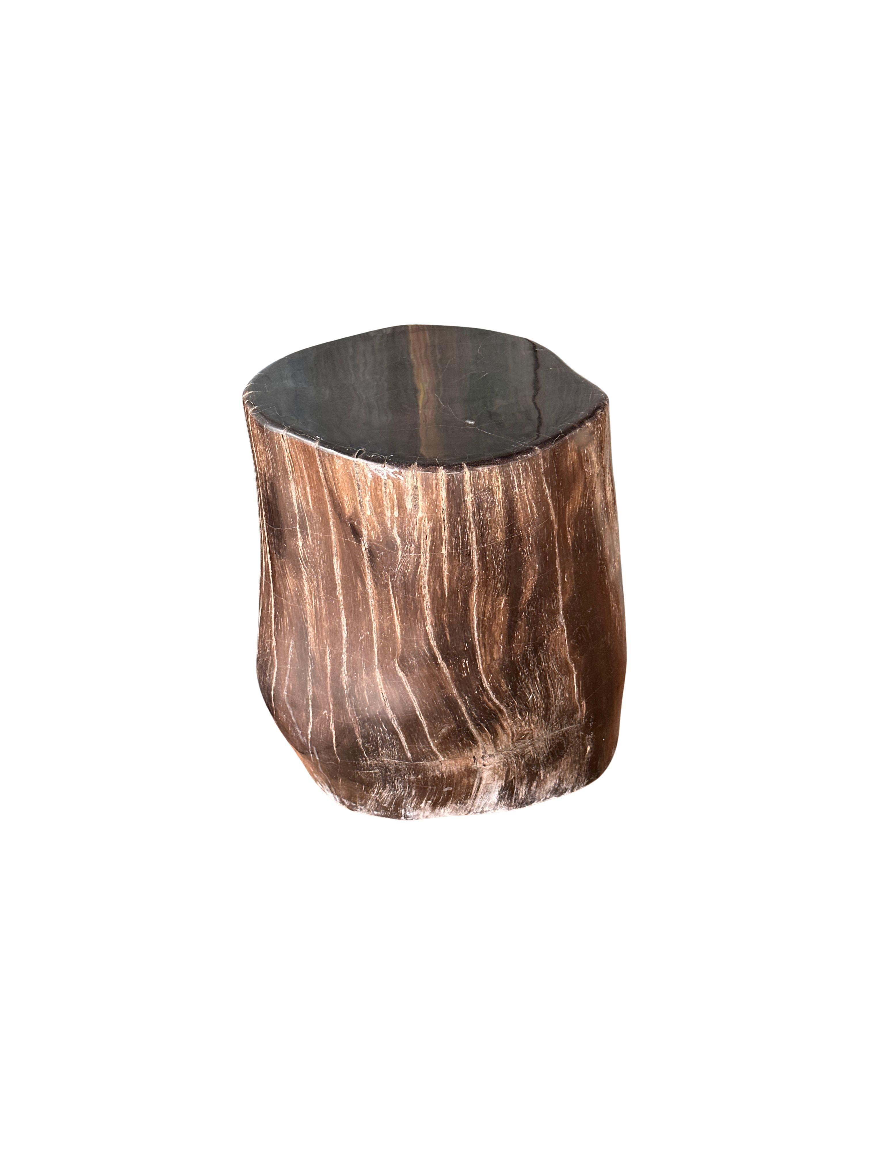 Un magnifique exemple de table d'appoint en bois pétrifié présentant des textures étonnantes. Cet article provient de l'île de Java, en Indonésie, après avoir été enterré pendant plusieurs centaines de millions d'années. Il a ensuite été