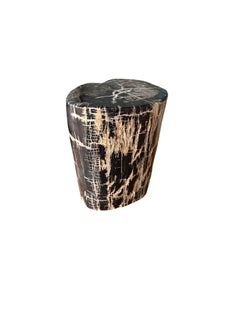 Petrified Wood Side Table With Stunning Textures, Modern Organic