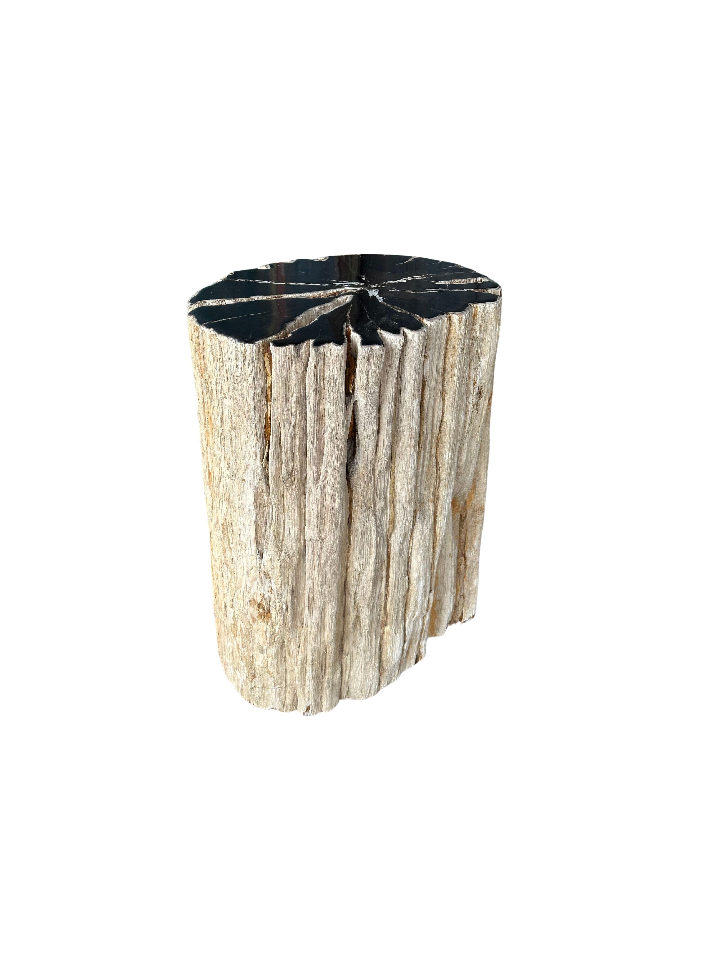 Beistelltisch aus versteinertem Holz mit atemberaubenden Texturen, modern organisch, organisch (Organische Moderne) im Angebot