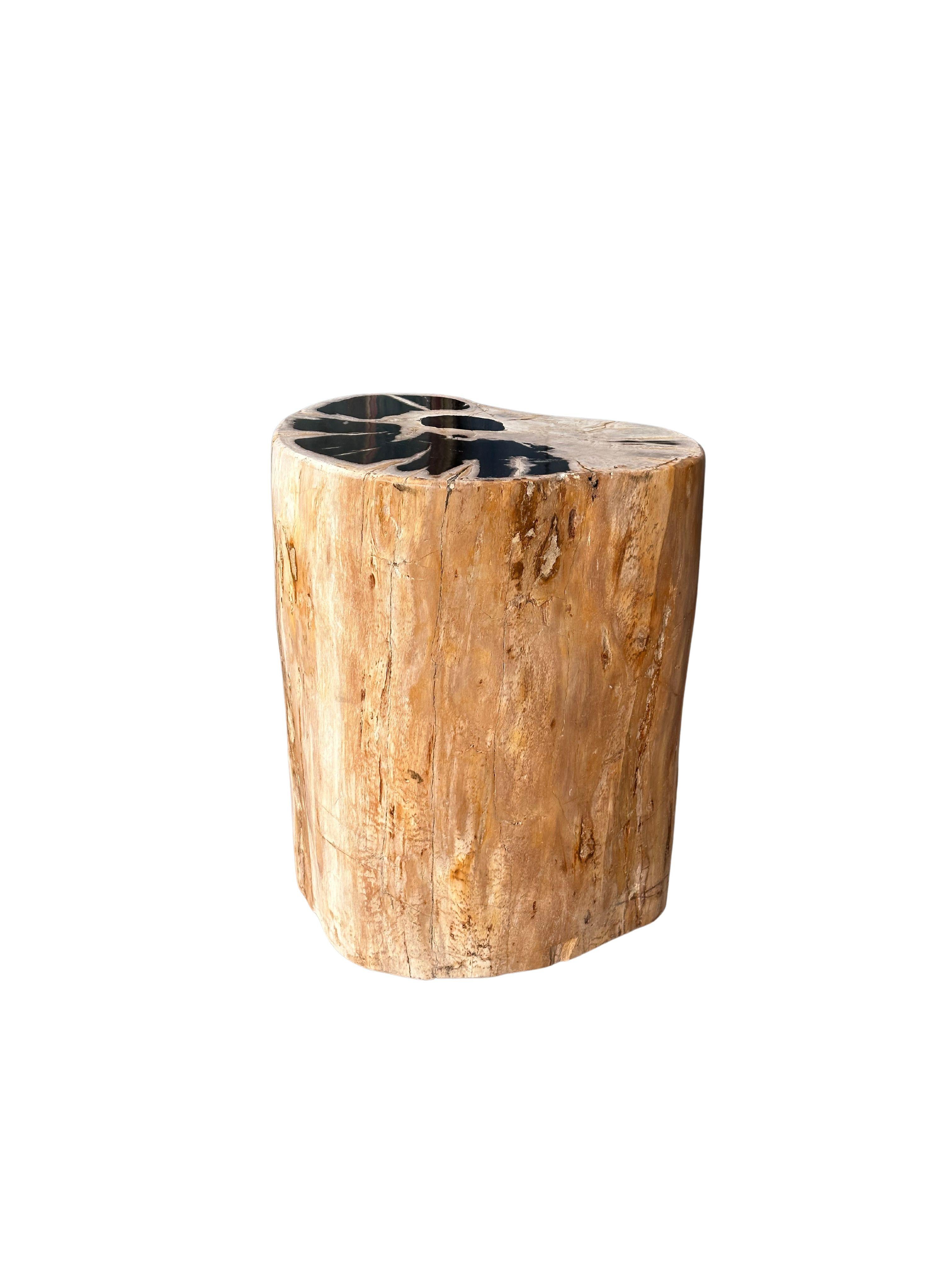 Organic Modern Petrified Wood Side Table With Stunning Textures, Modern Organic For Sale