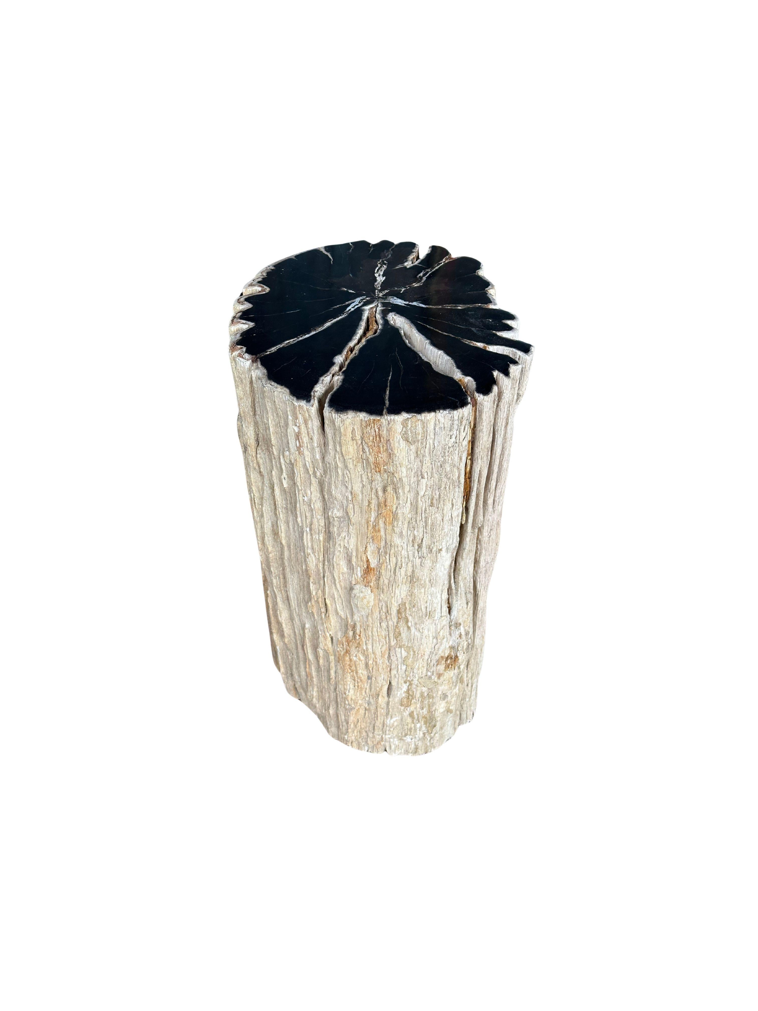 Beistelltisch aus versteinertem Holz mit atemberaubenden Texturen, modern organisch, organisch (Indonesisch) im Angebot