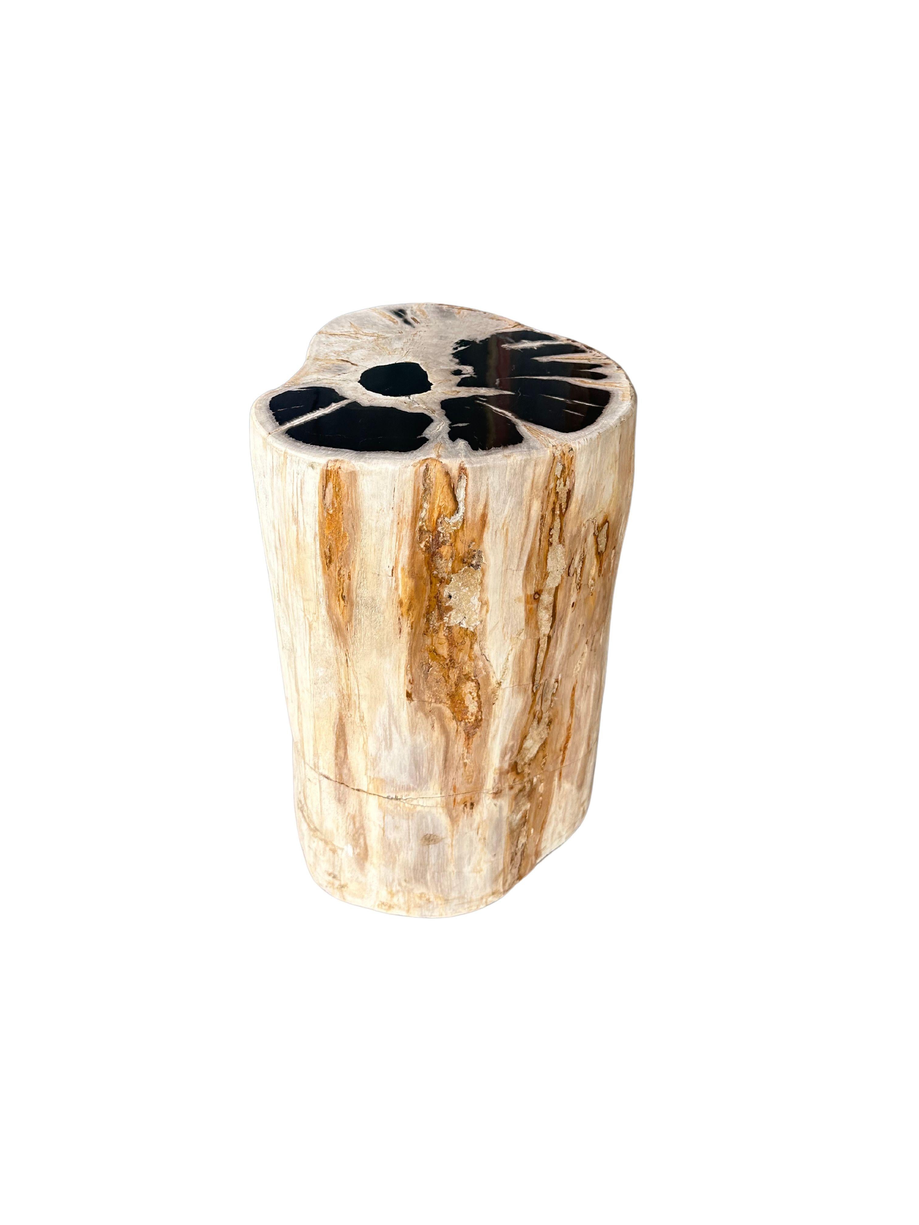 Indonesian Petrified Wood Side Table With Stunning Textures, Modern Organic For Sale