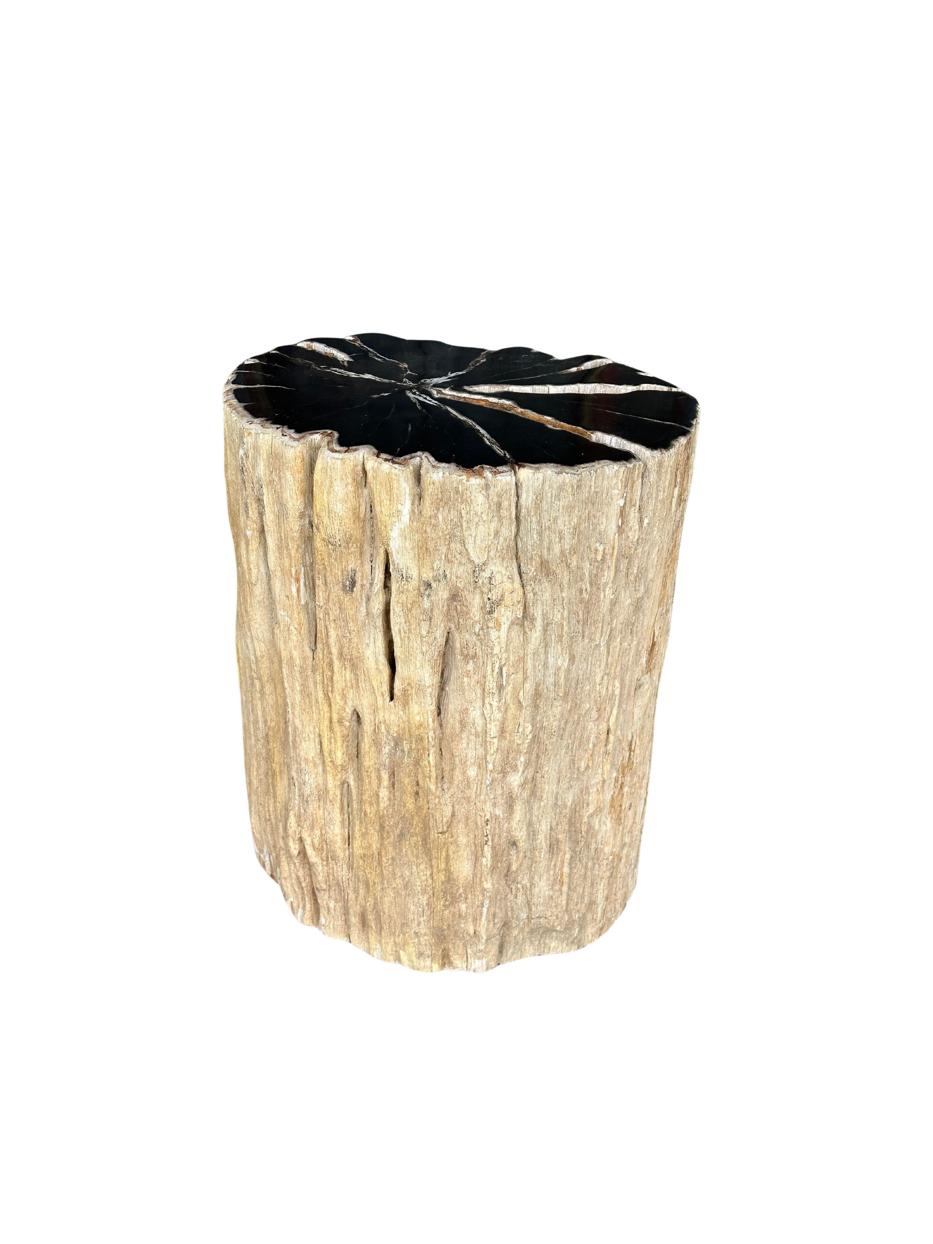 Beistelltisch aus versteinertem Holz mit atemberaubenden Texturen, modern organisch, organisch (Poliert) im Angebot