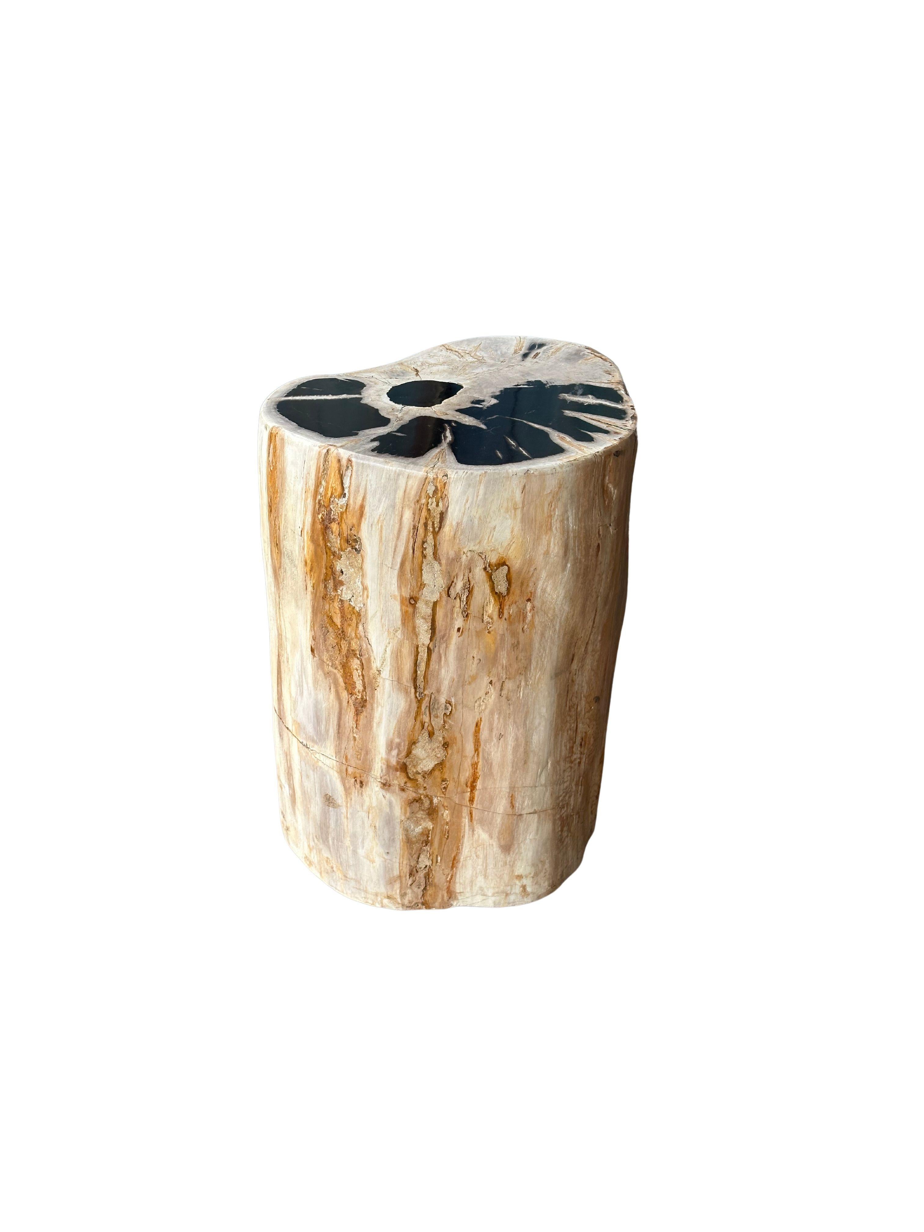 Polished Petrified Wood Side Table With Stunning Textures, Modern Organic For Sale