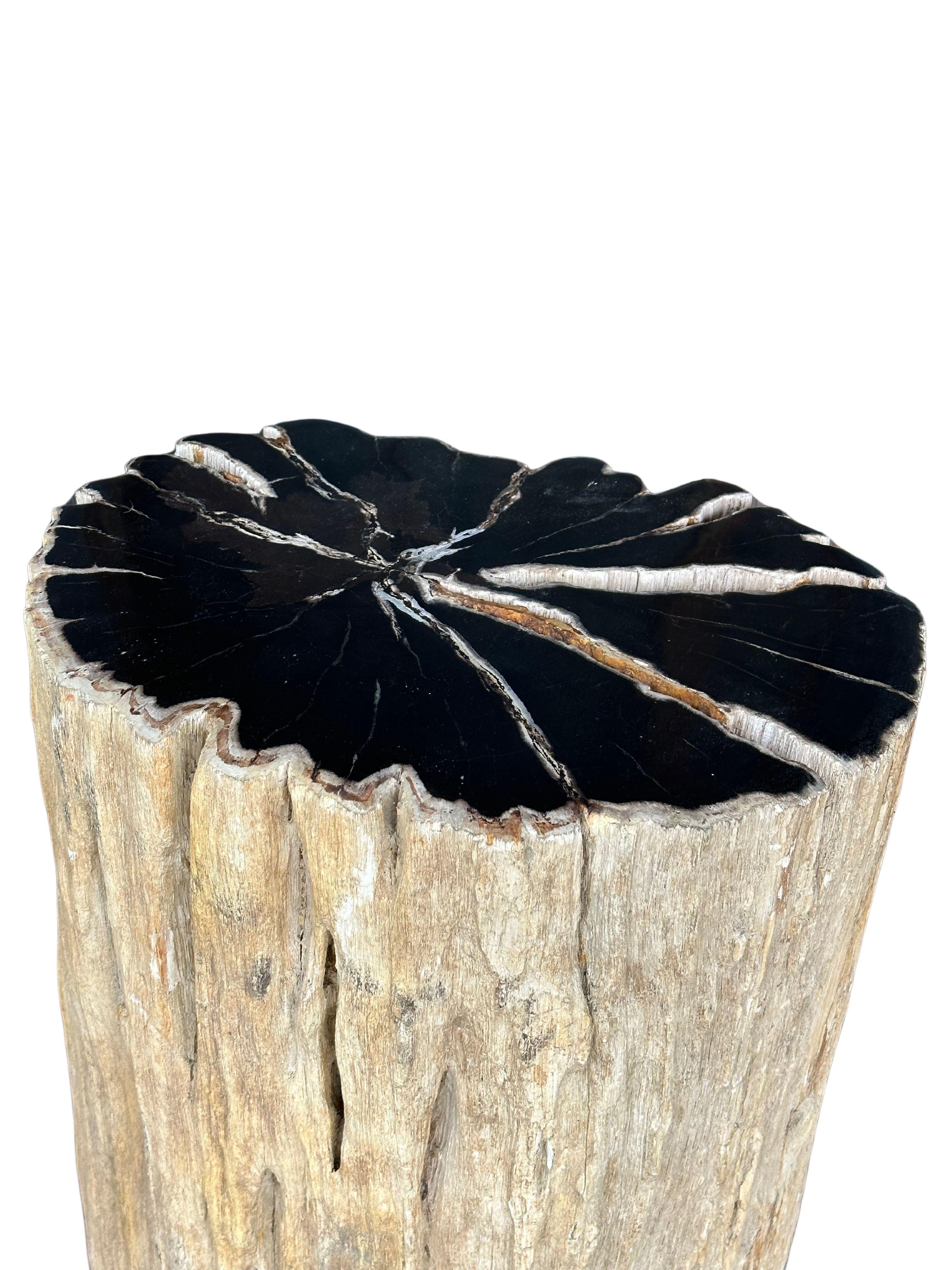 Beistelltisch aus versteinertem Holz mit atemberaubenden Texturen, modern organisch, organisch im Zustand „Gut“ im Angebot in Jimbaran, Bali