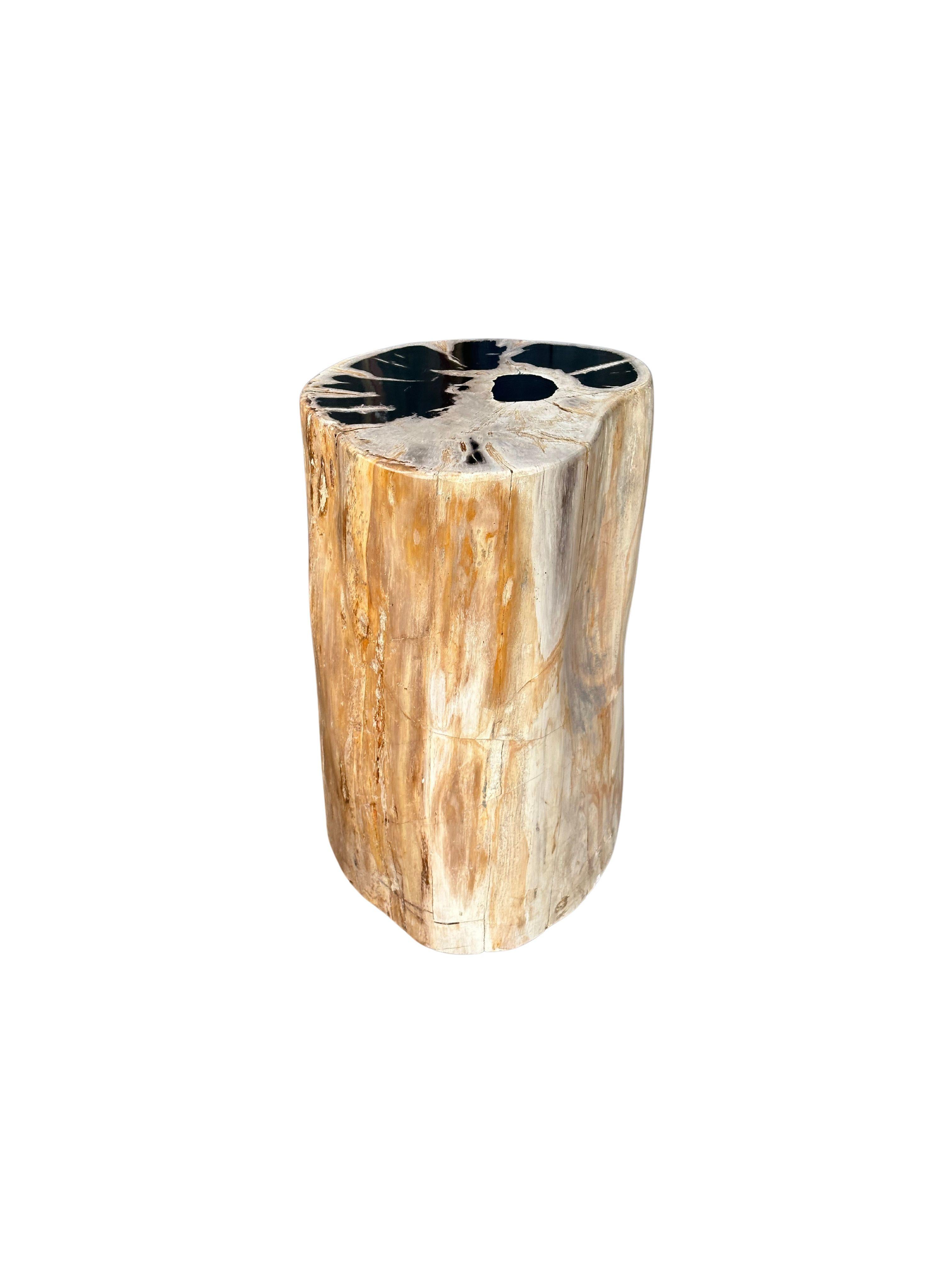 Petrified Wood Side Table With Stunning Textures, Modern Organic In Good Condition For Sale In Jimbaran, Bali