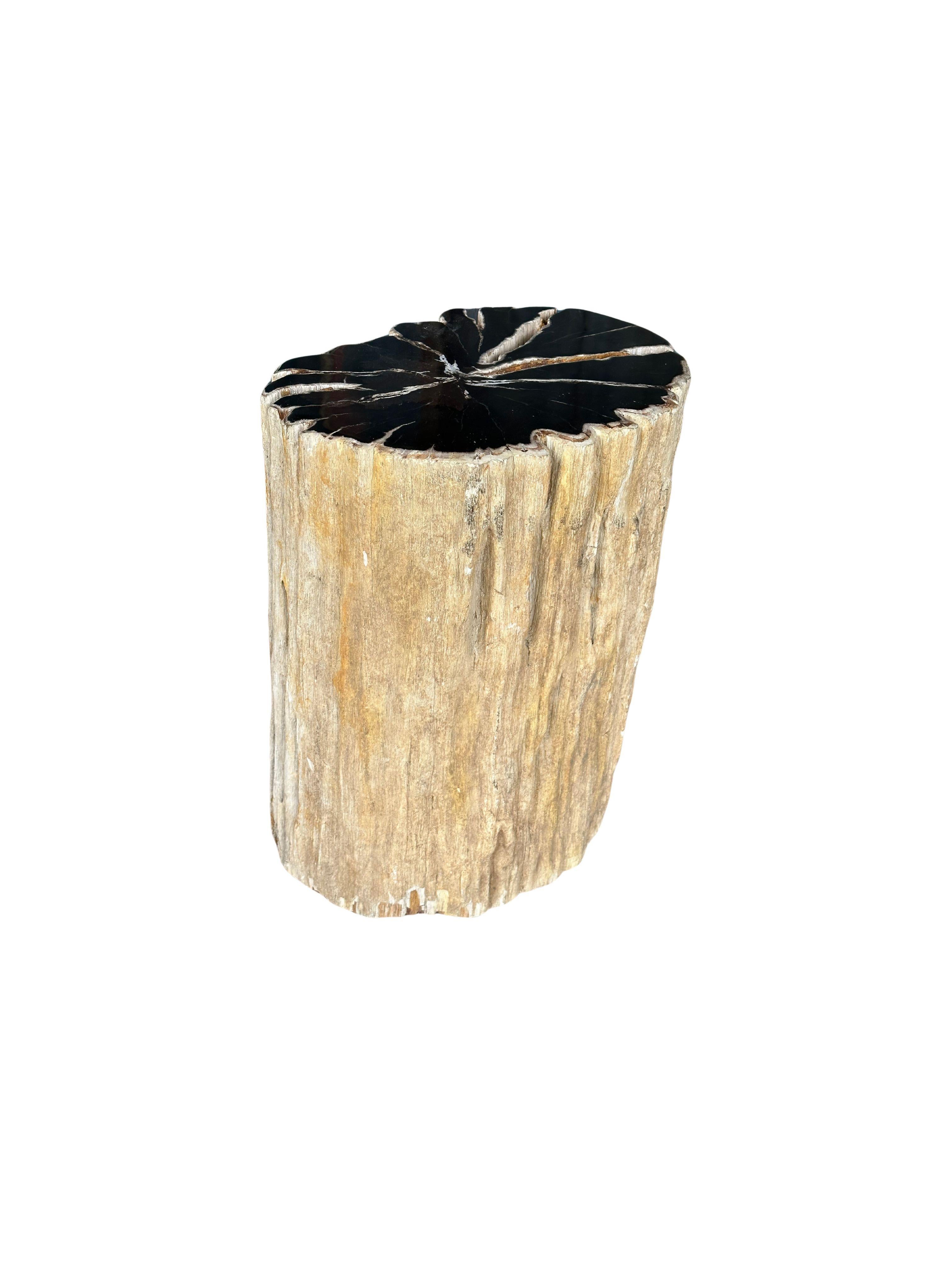 Beistelltisch aus versteinertem Holz mit atemberaubenden Texturen, modern organisch, organisch (21. Jahrhundert und zeitgenössisch) im Angebot