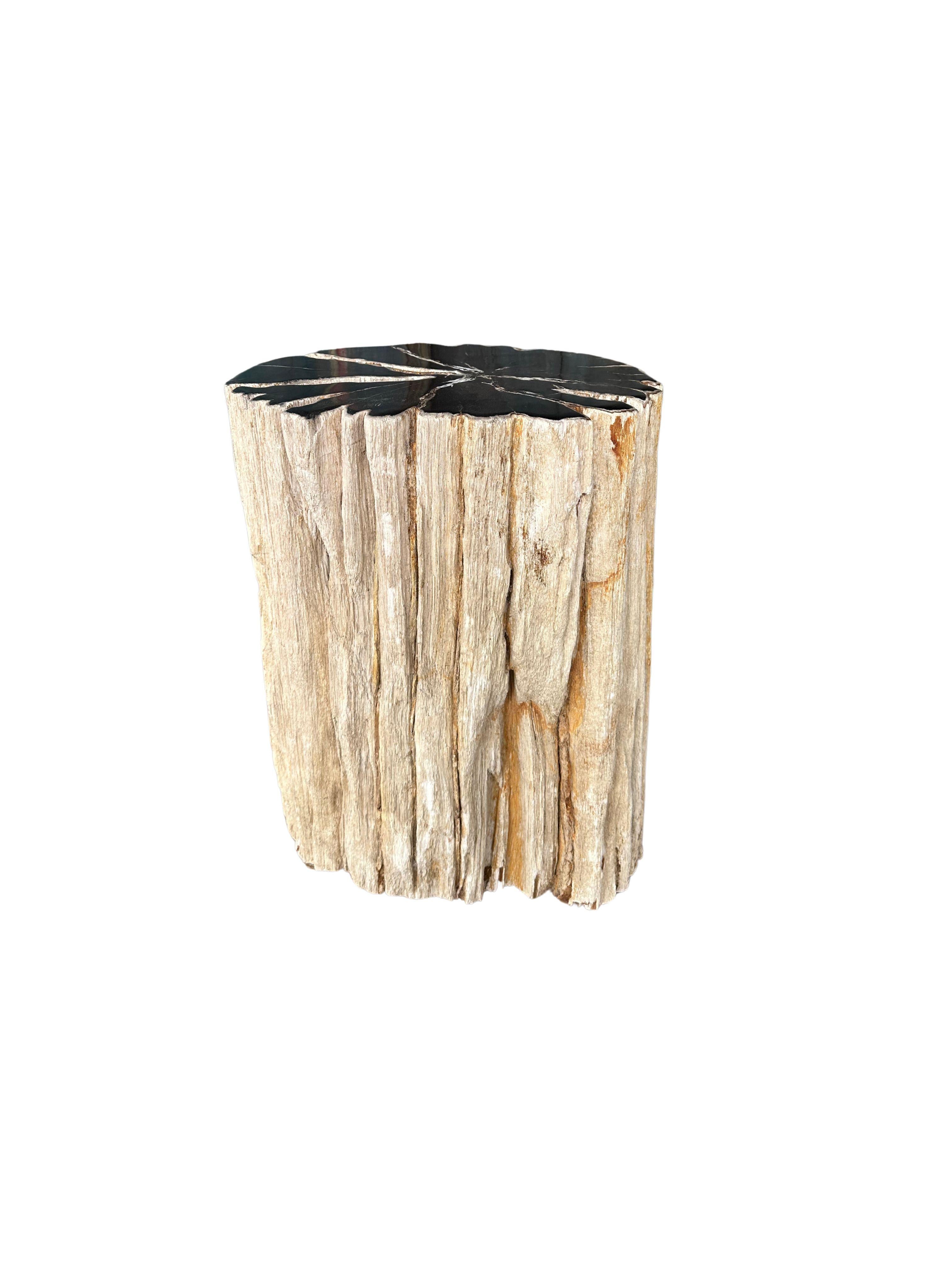 Beistelltisch aus versteinertem Holz mit atemberaubenden Texturen, modern organisch, organisch (Versteinertes Holz) im Angebot