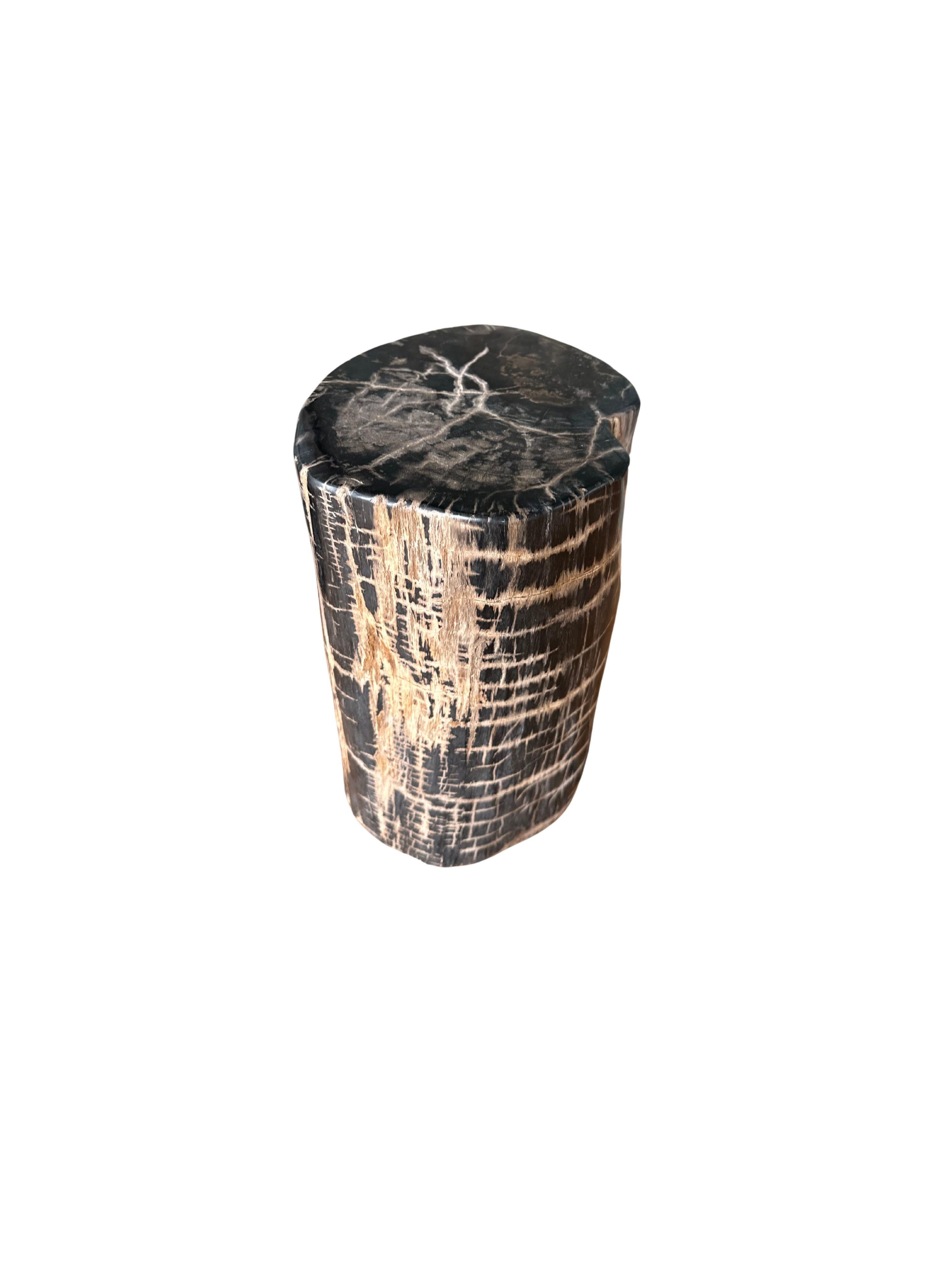 Bois fossilisé Table d'appoint en Wood Wood pétrifié avec des textures étonnantes, The Modern Organic en vente
