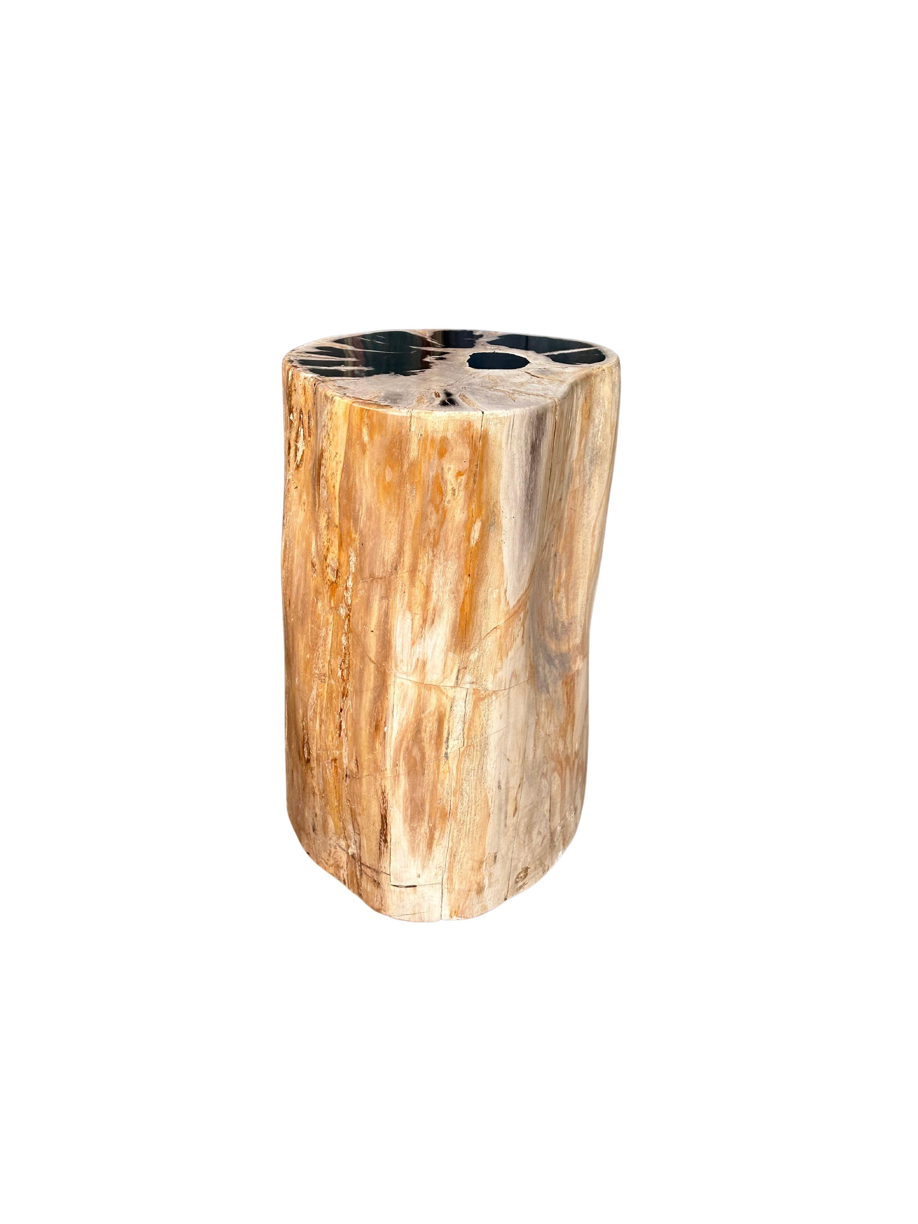 Petrified Wood Side Table With Stunning Textures, Modern Organic For Sale 1