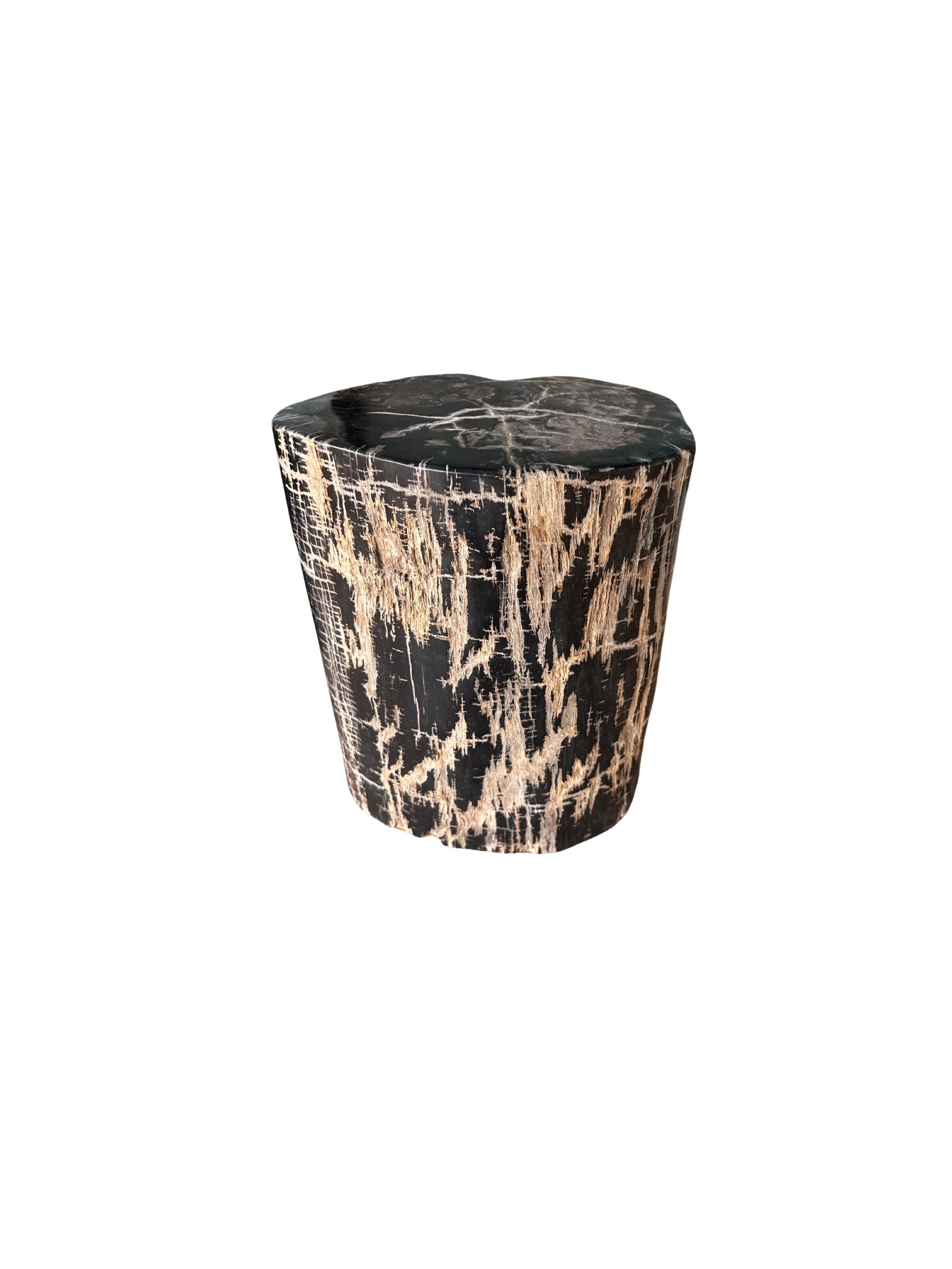 Table d'appoint en Wood Wood pétrifié avec des textures étonnantes, The Modern Organic en vente 1