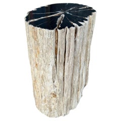 Petrified Wood Side Table With Stunning Textures, Modern Organic