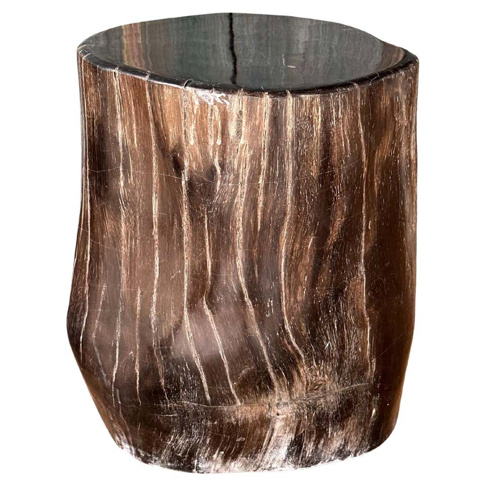 Organic Modern Petrified Wood Side Table with Pyrite For Sale at 1stDibs