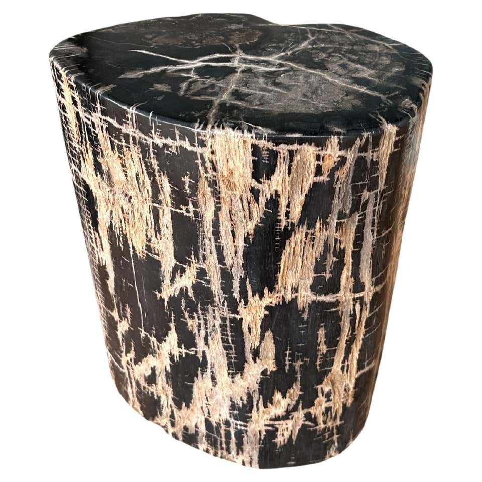 Organic Modern Petrified Wood Side Table with Pyrite For Sale at 1stDibs