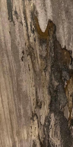 Lampada singola in legno pietrificato con paralume, Indonesia, Contemporary