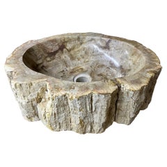 Petrified Wood Sink Beige/ Brown/ Grey Tones, Polished, Top Quality