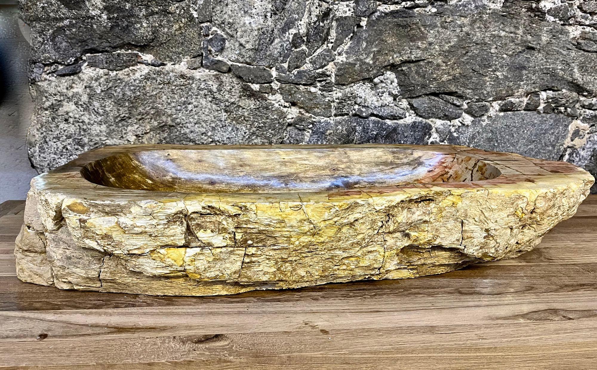 Amazing looking petrified wood sink in absolute top quality. This impressive large sink comes with a unique shape and outstanding natural coloration in beige, brown, yellow and light red tones. The inside of the sink shows a polished surface while