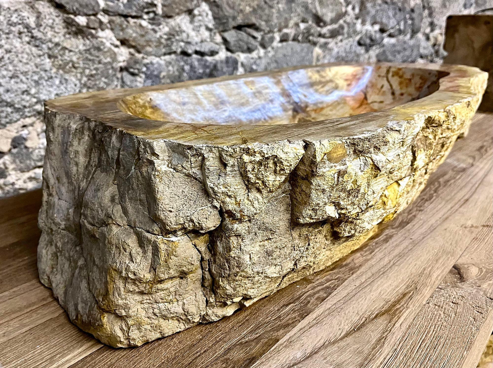 Indonesian Petrified Wood Sink Beige/ Brown Tones, Organic Modern - Top Quality, IDN 2023 For Sale