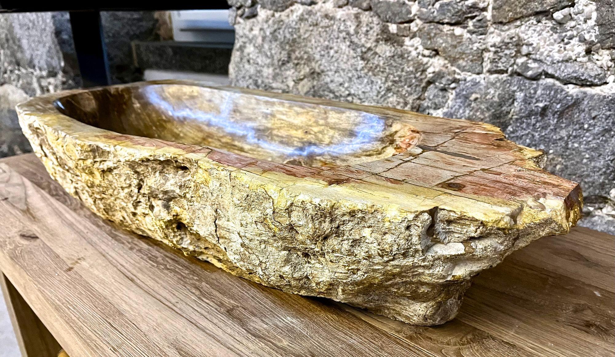 Polished Petrified Wood Sink Beige/ Brown Tones, Organic Modern - Top Quality, IDN 2023 For Sale