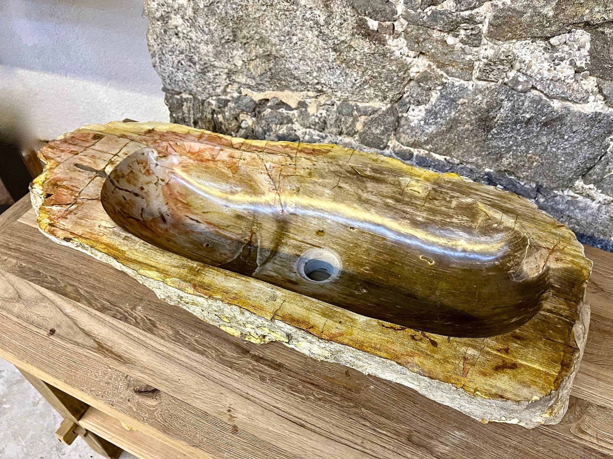 Petrified Wood Sink Beige/ Brown Tones, Organic Modern - Top Quality, IDN 2023 For Sale 3