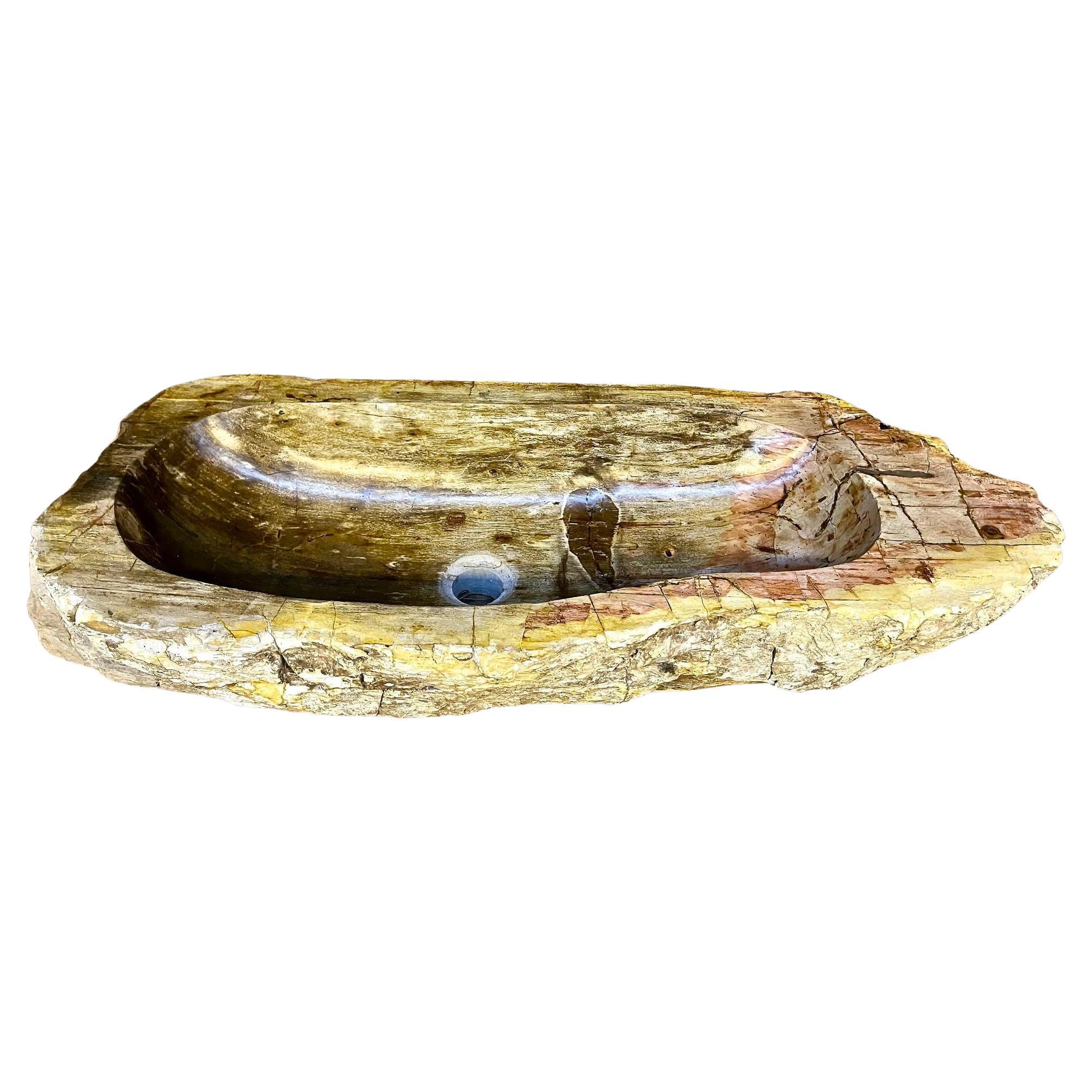 Petrified Wood Sink Beige/ Brown Tones, Organic Modern - Top Quality, IDN 2023 For Sale