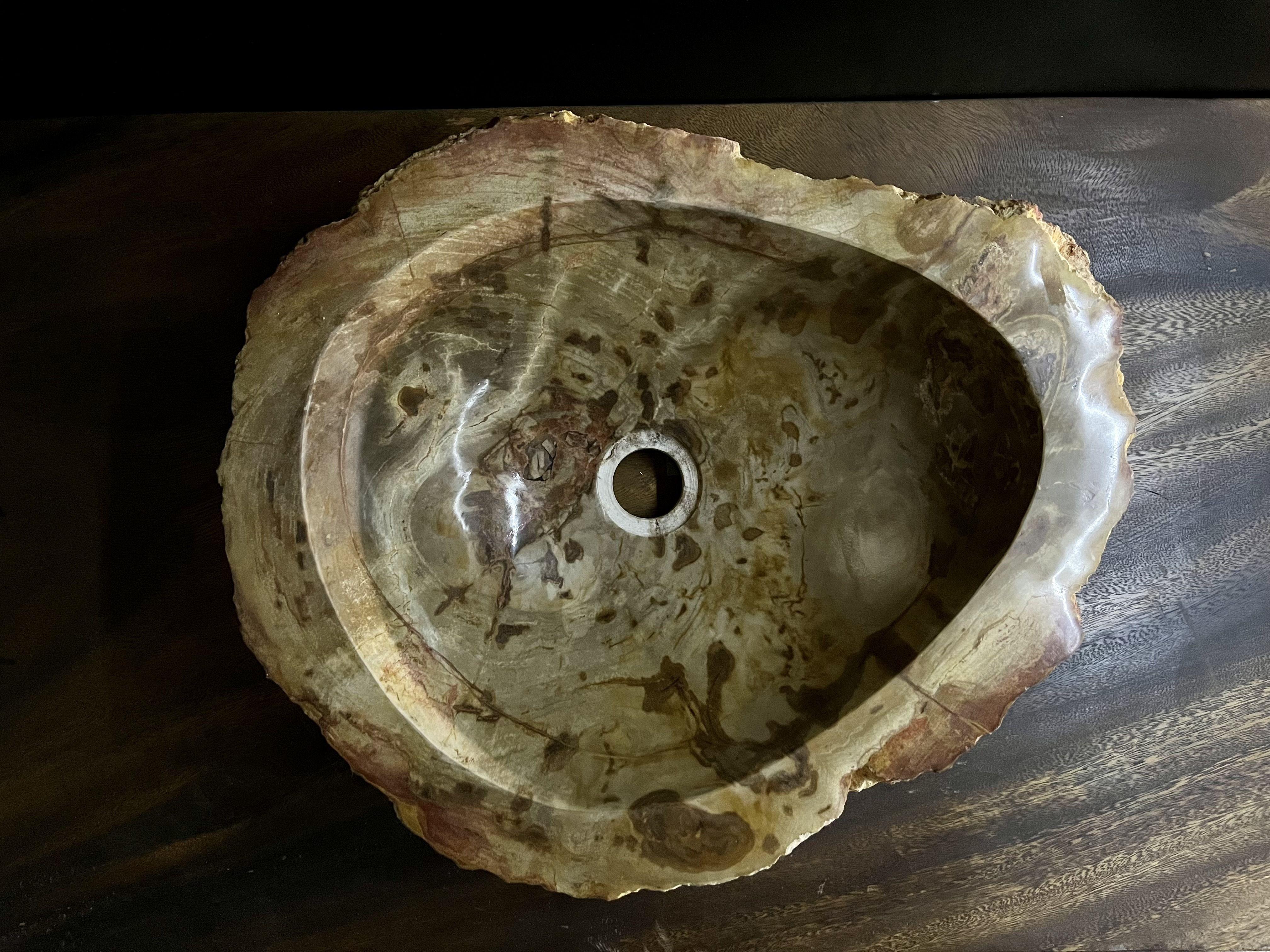 Petrified Wood Sink Brown/ Beige/ Red Tones Polished Top Quality For Sale 5