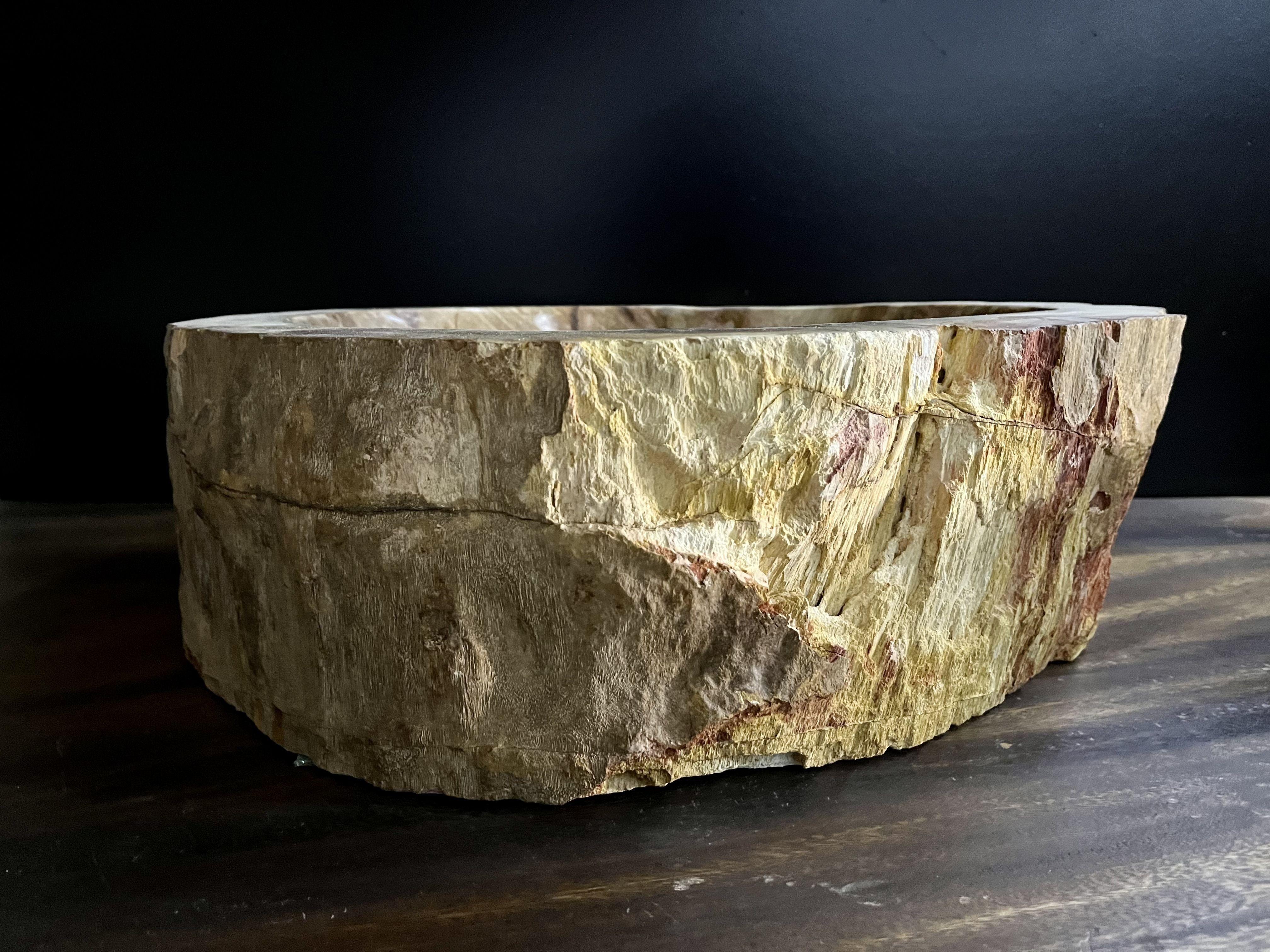 Petrified Wood Sink Brown/ Beige/ Red Tones Polished Top Quality For Sale 6