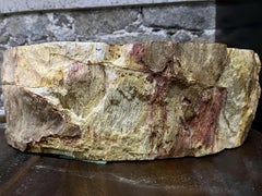 Petrified Wood Sink Brown/ Beige/ Red Tones Polished Top Quality