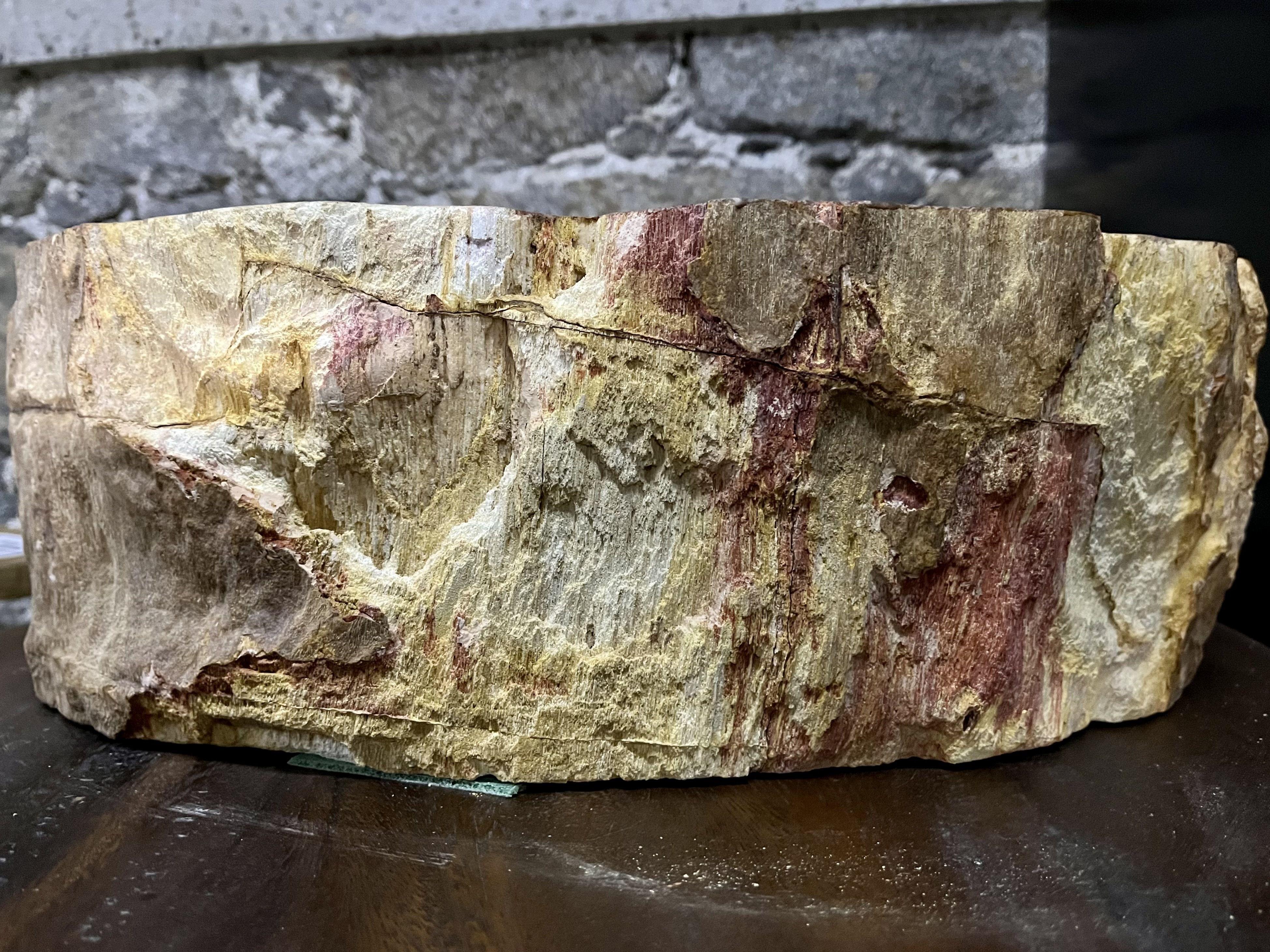 Beautiful petrified wood sink in absolute top quality. This single sink impresses with its unique shape and charming coloration in beige, brown and red tones. The inside of the sink has been polished while the outside shows the rough, original