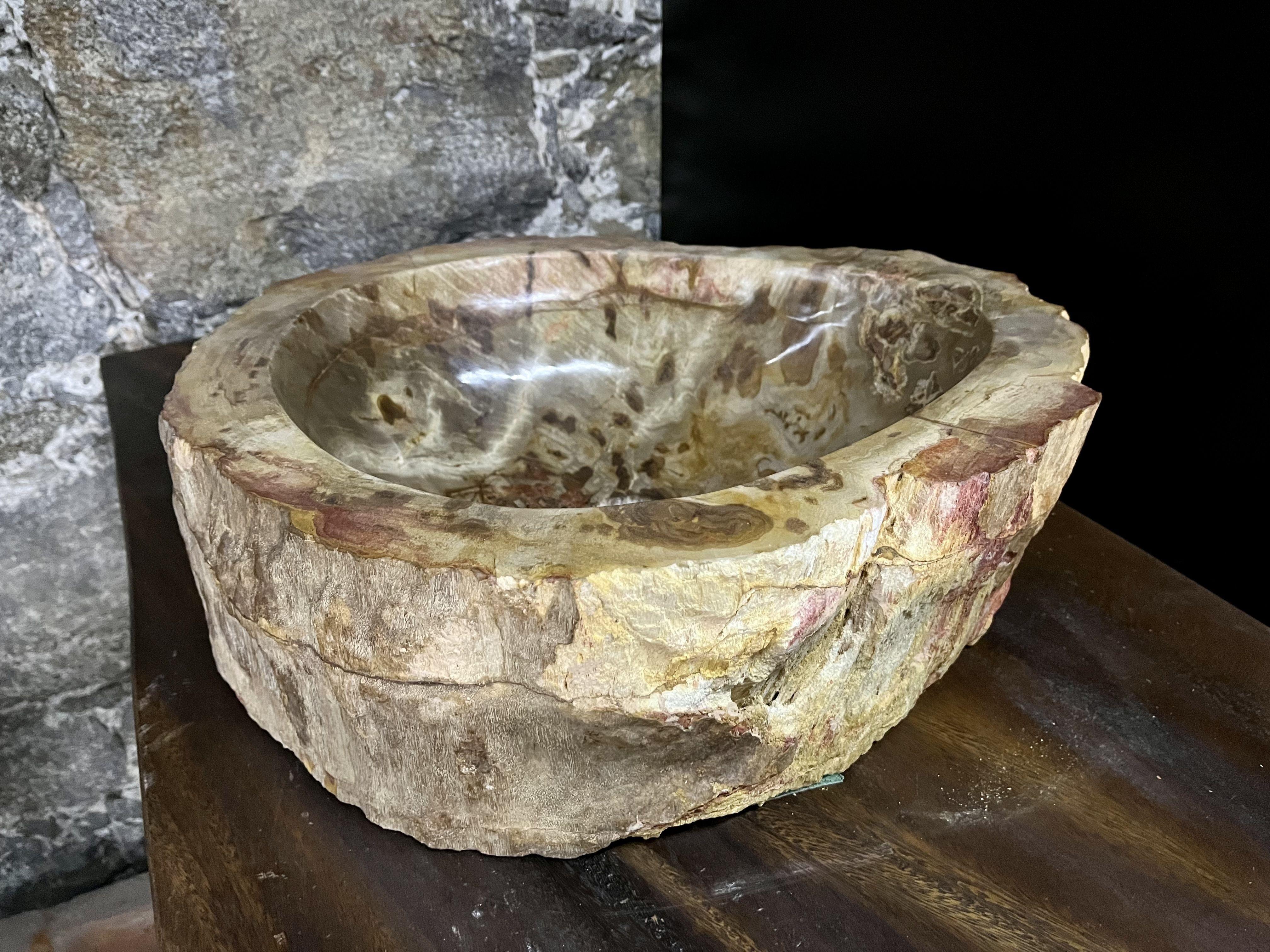 Indonesian Petrified Wood Sink Brown/ Beige/ Red Tones Polished Top Quality For Sale