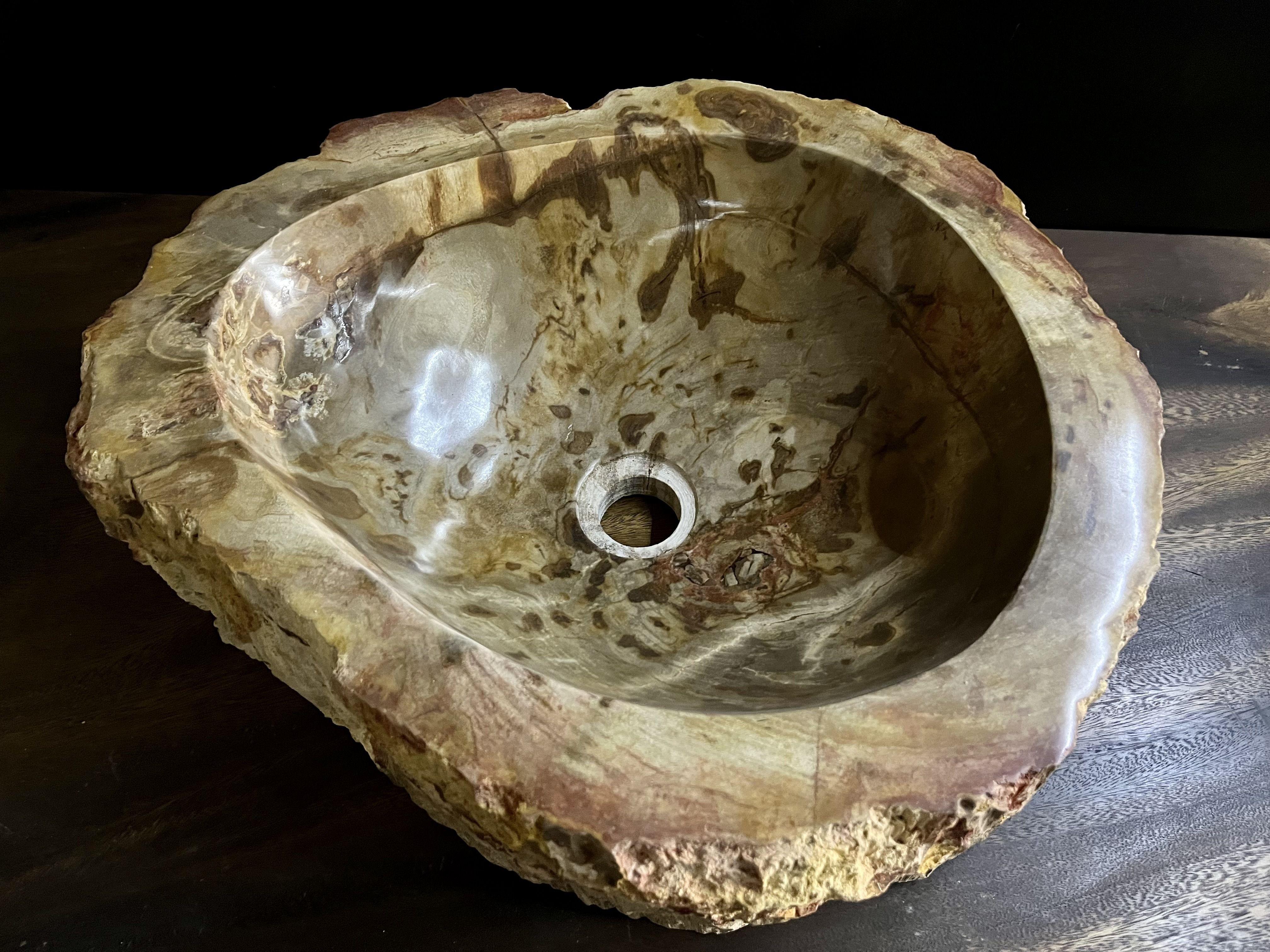 Petrified Wood Sink Brown/ Beige/ Red Tones Polished Top Quality In Excellent Condition For Sale In Lichtenberg, AT