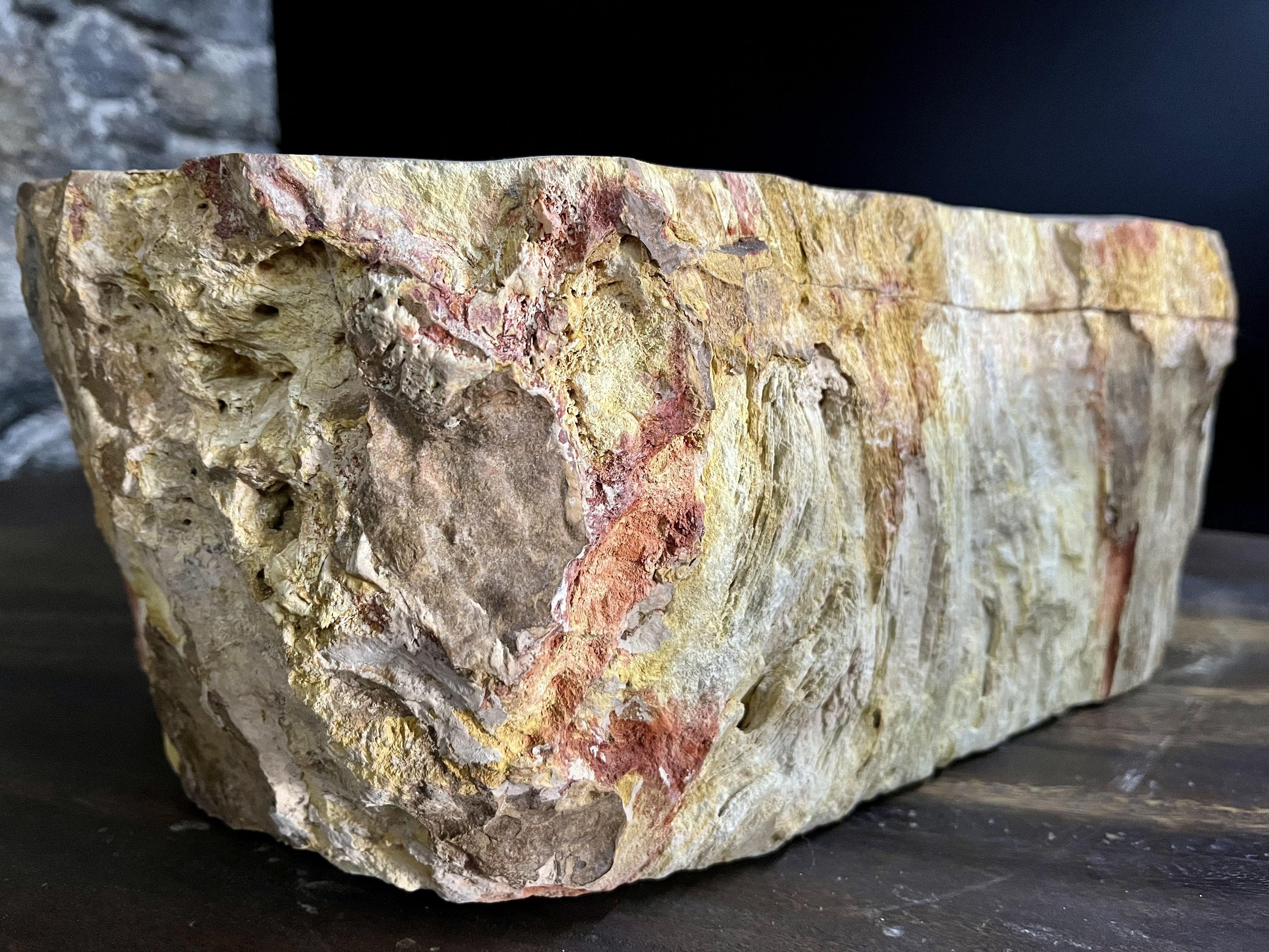 Petrified Wood Sink Brown/ Beige/ Red Tones Polished Top Quality For Sale 2