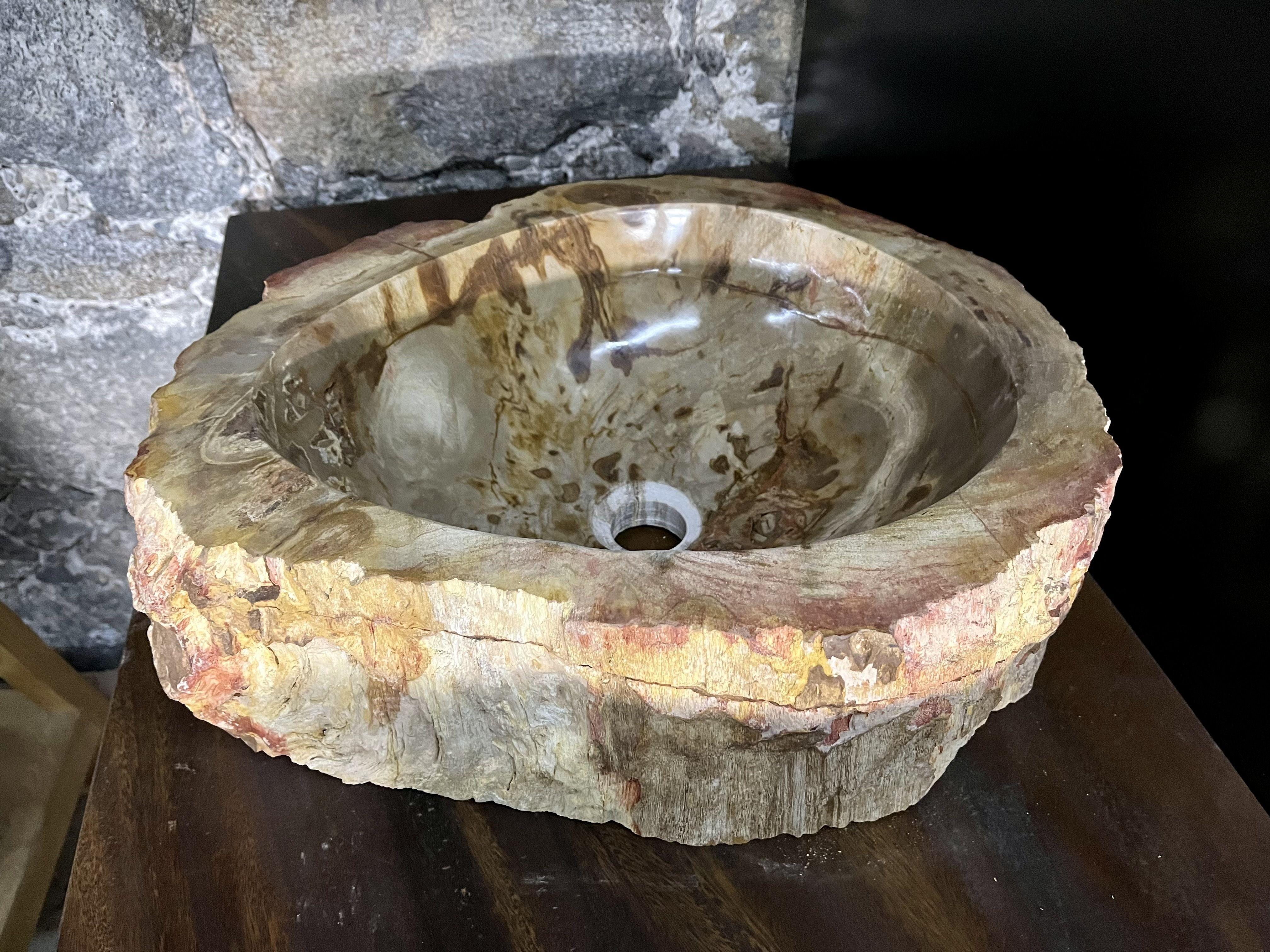 Petrified Wood Sink Brown/ Beige/ Red Tones Polished Top Quality For Sale 3