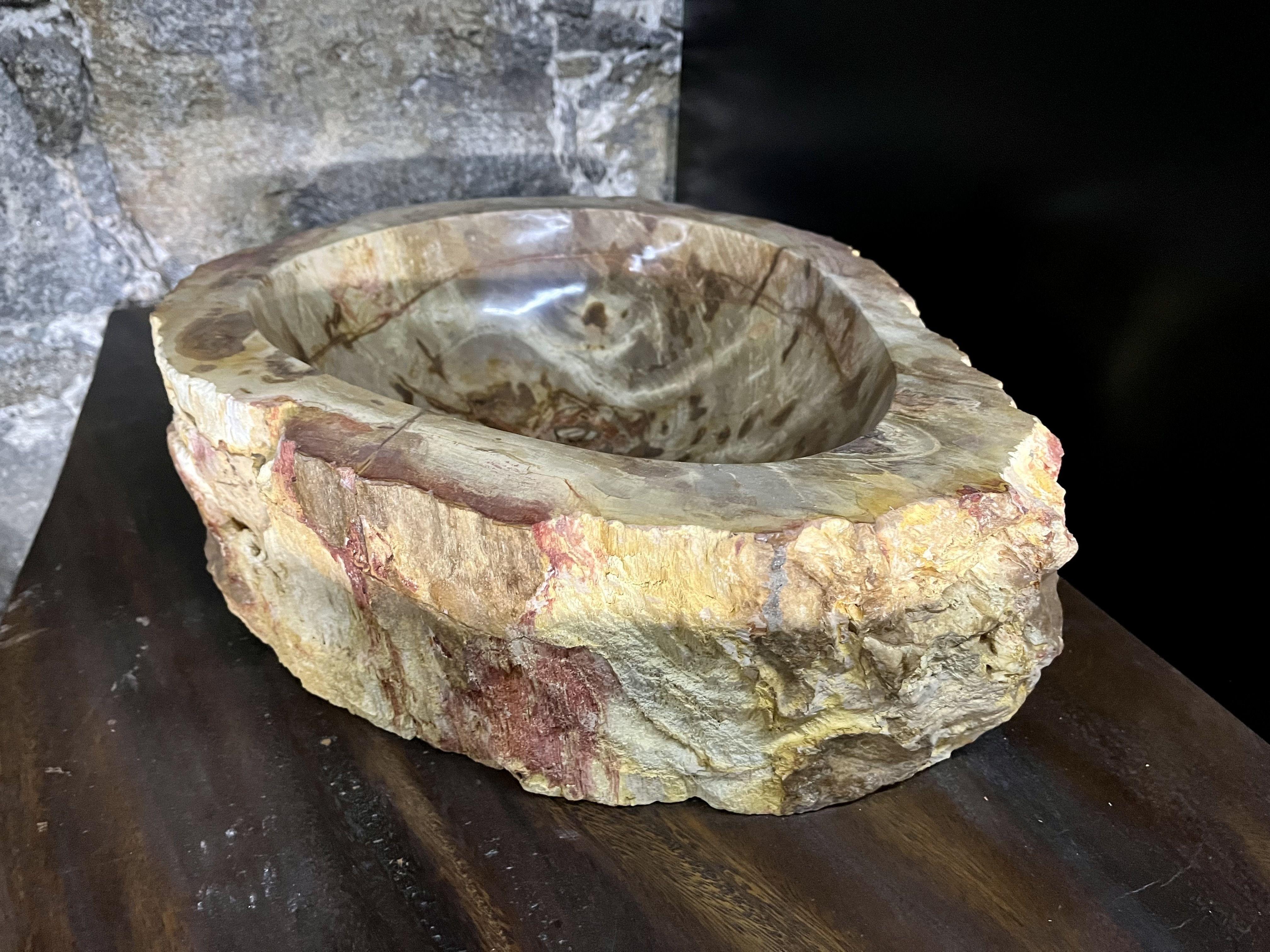 Petrified Wood Sink Brown/ Beige/ Red Tones Polished Top Quality For Sale 4