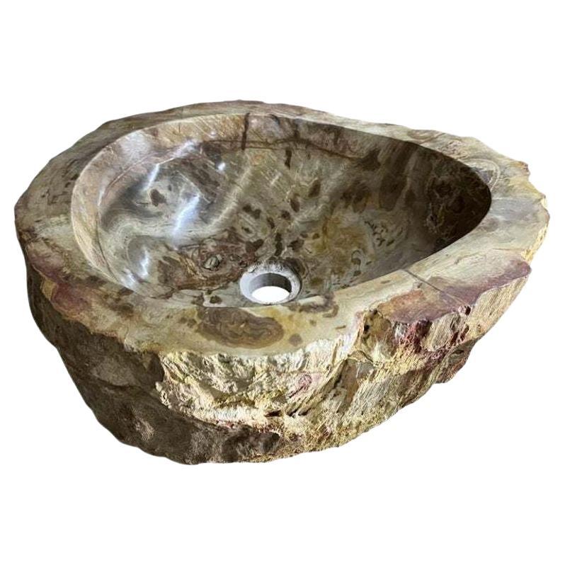 Petrified Wood Sink Brown/ Beige/ Red Tones Polished Top Quality For Sale