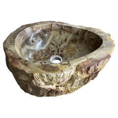 Petrified Wood Sink Brown/ Beige/ Red Tones Polished Top Quality