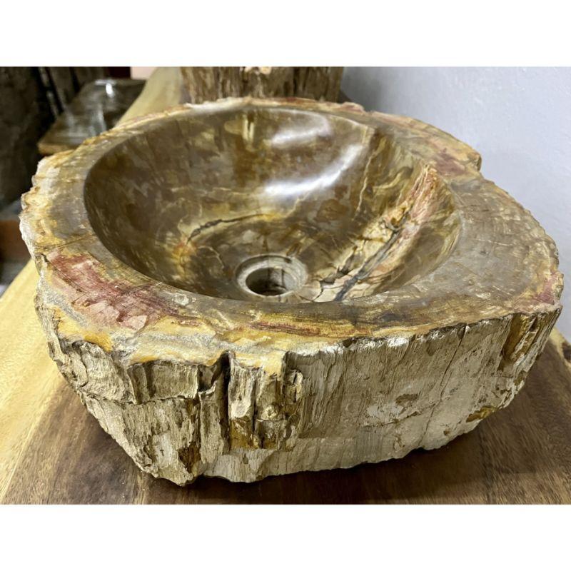 Petrified Wood Sink Brown/ Beige/ Yellow & Red Tones Polished Top Quality For Sale 7