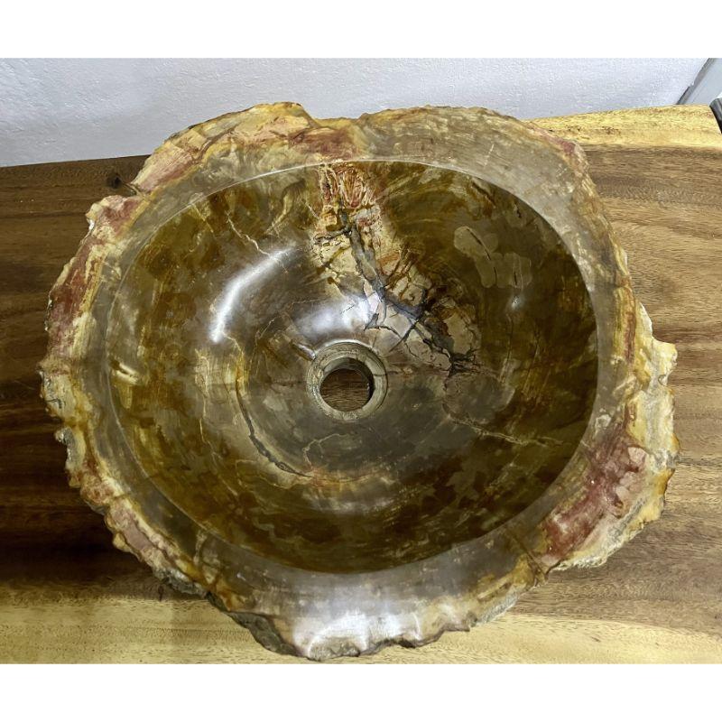 Petrified Wood Sink Brown/ Beige/ Yellow & Red Tones Polished Top Quality For Sale 8