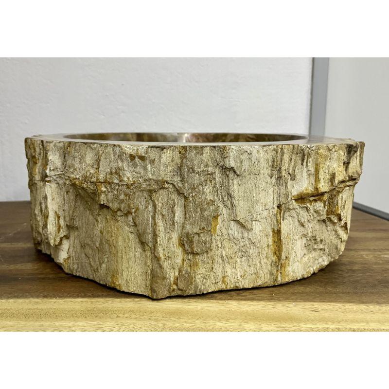 One of a kind petrified wood sink in absolute top quality. This single sink impresses with a fantastic shape and beautiful coloration in brown, beige, yellow and red tones. The inside of the sink has been polished while the outside shows the rough,