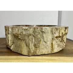 Petrified Wood Sink Brown/ Beige/ Yellow & Red Tones Polished Top Quality