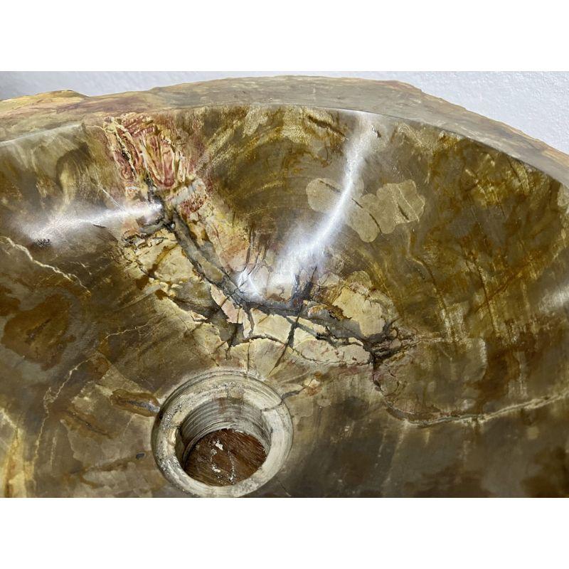 Petrified Wood Sink Brown/ Beige/ Yellow & Red Tones Polished Top Quality In Excellent Condition For Sale In Lichtenberg, AT